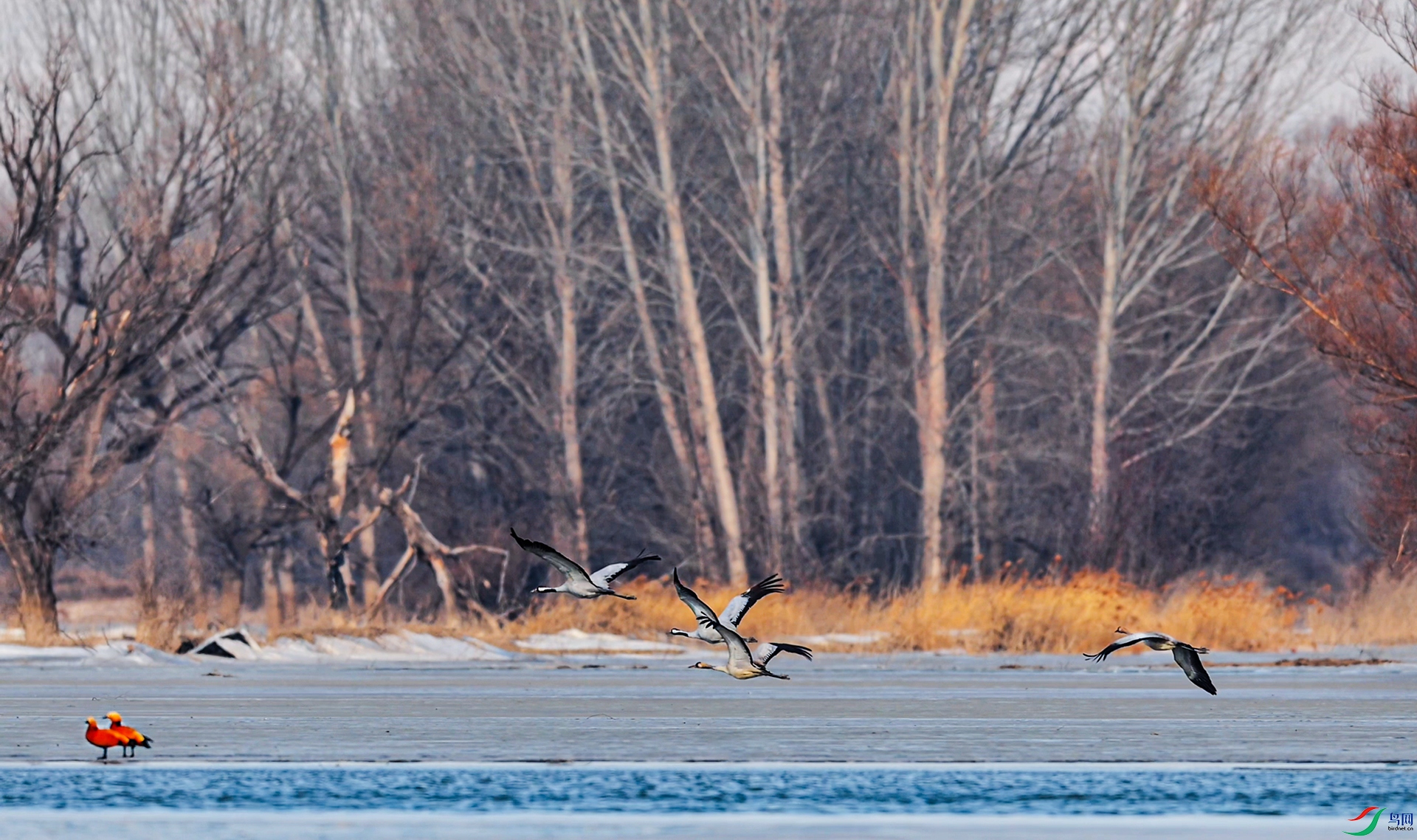 1��7�� (1)(10)-1.jpg