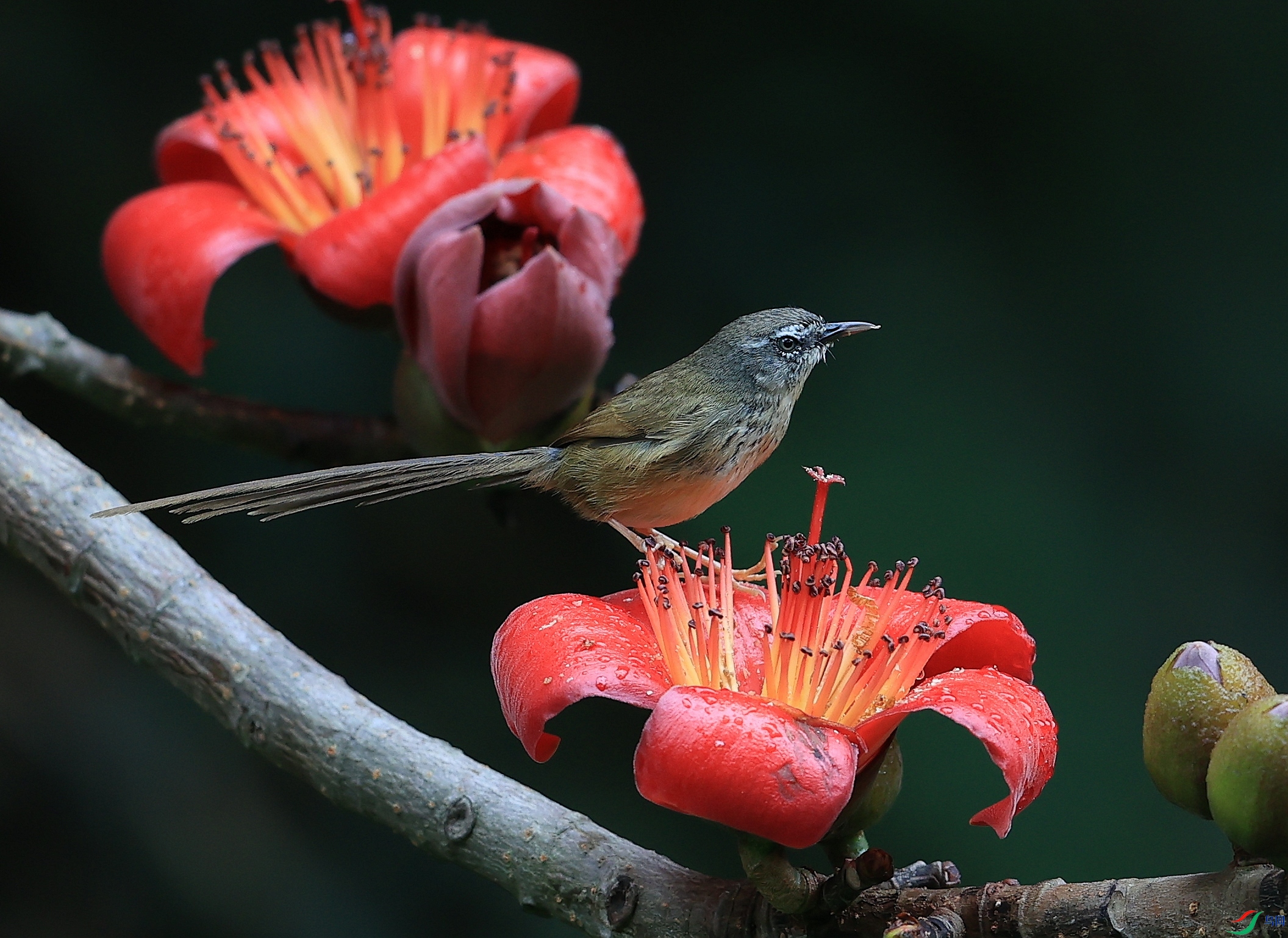 AK1I7589�� ��2.JPG