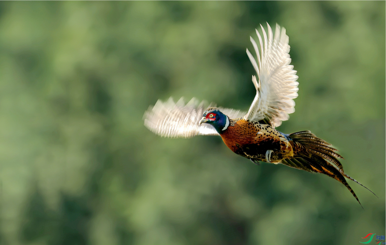 �������ѡ�����Ӣ��[�ٻ���Ӱʦ����]  ����  8.png