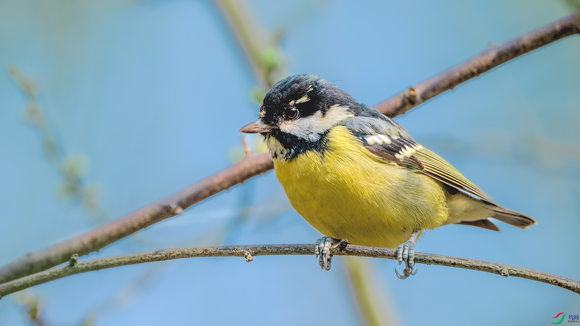 DSC_0252 ����.jpg