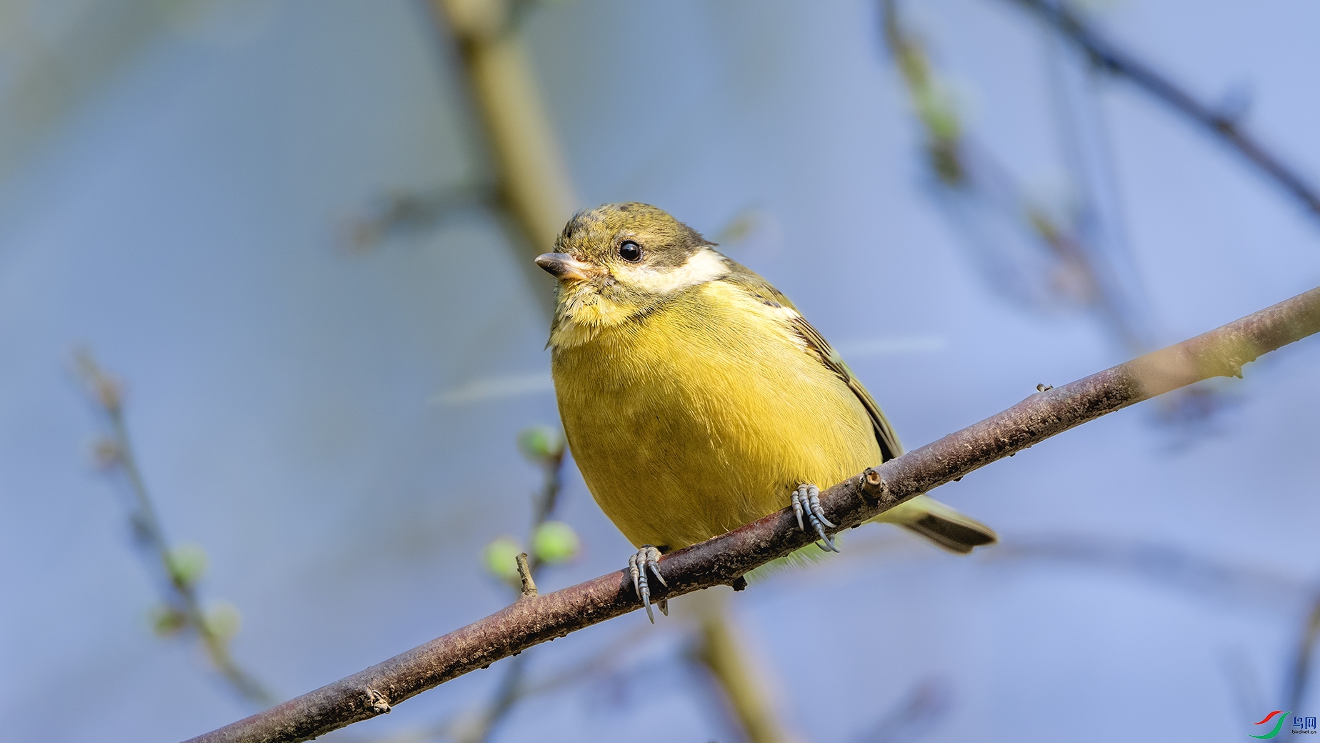 DSC_0279 ����.jpg