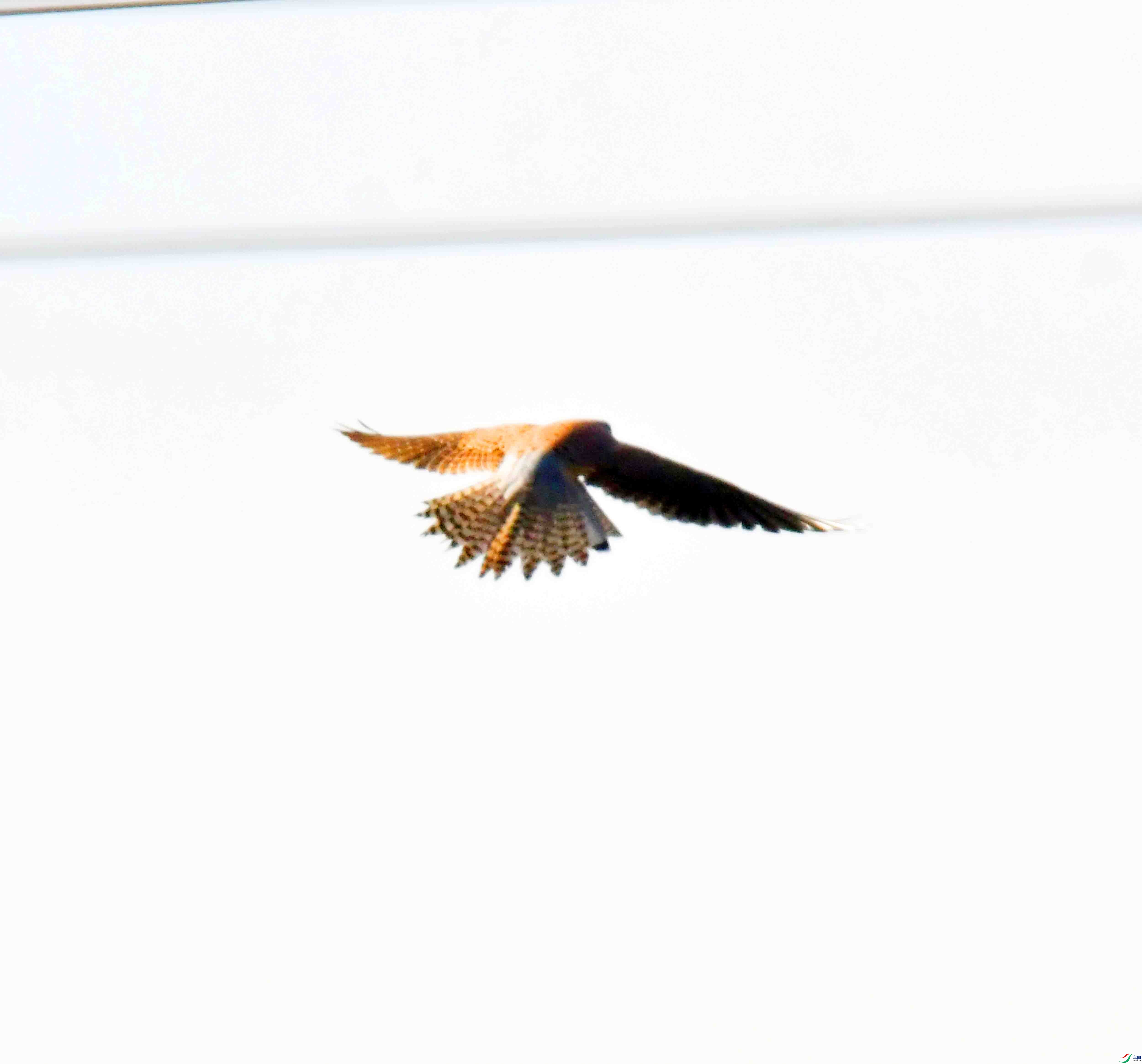 DSC_7846.JPG