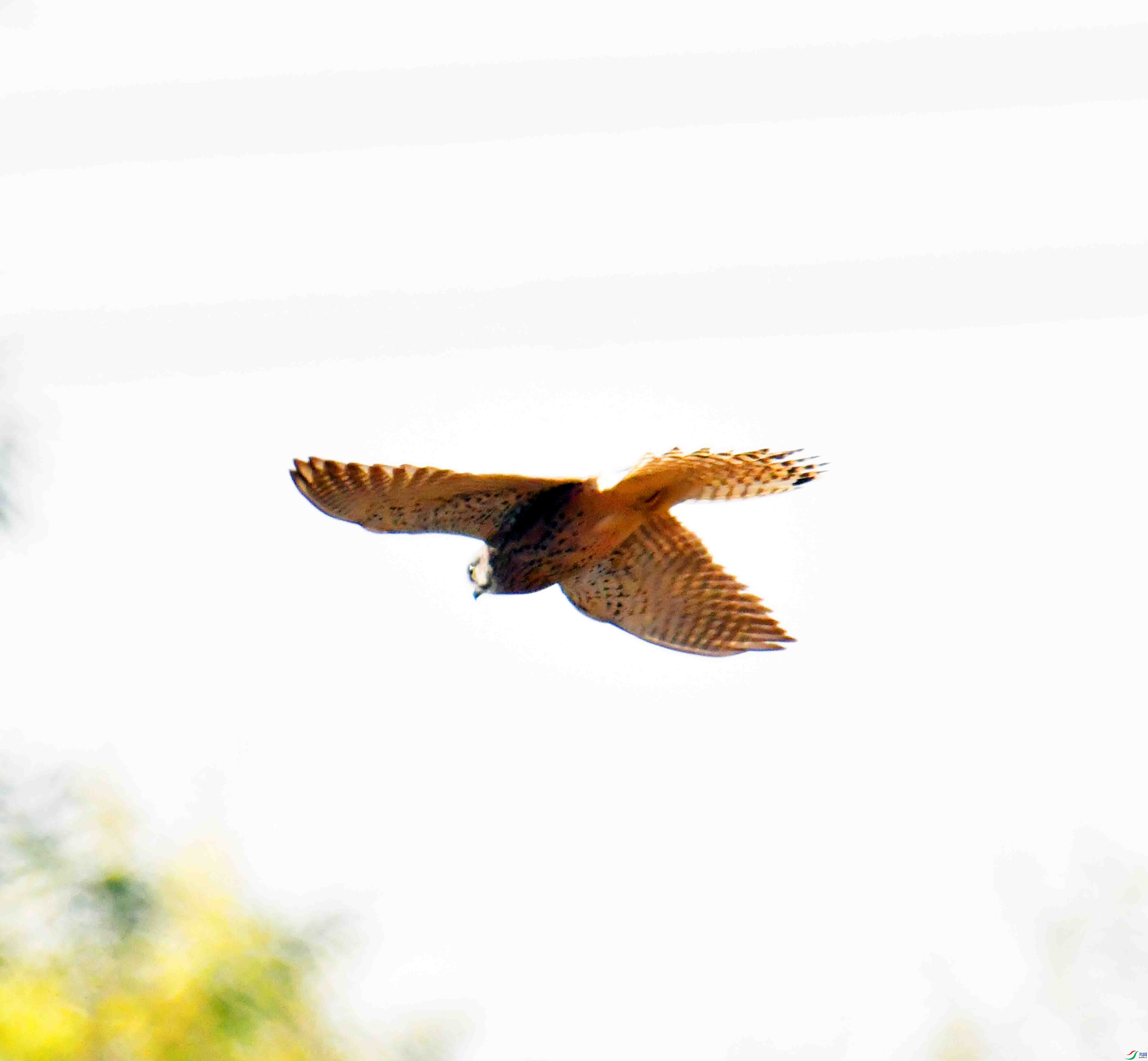 DSC_7836.JPG