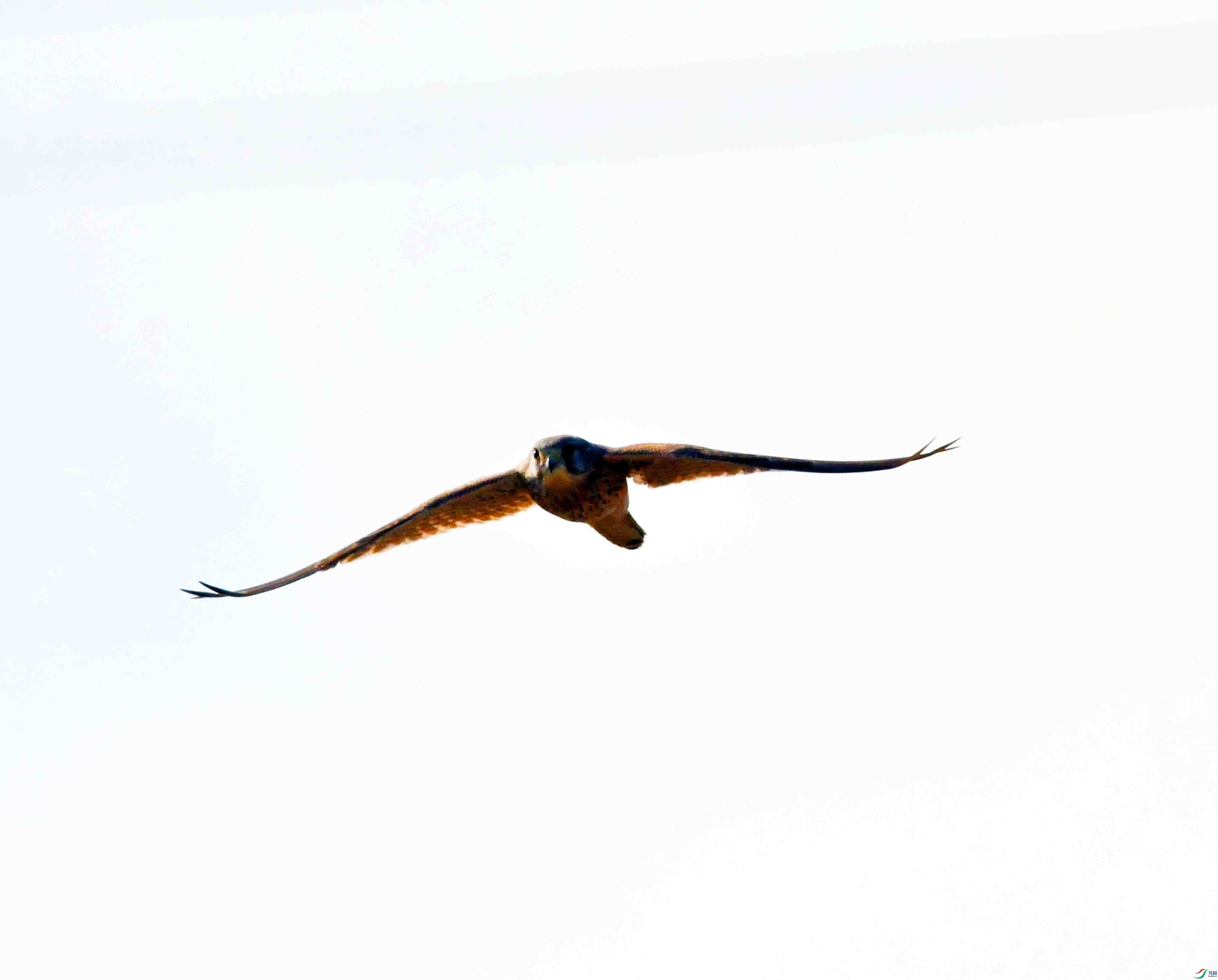 DSC_7857.JPG