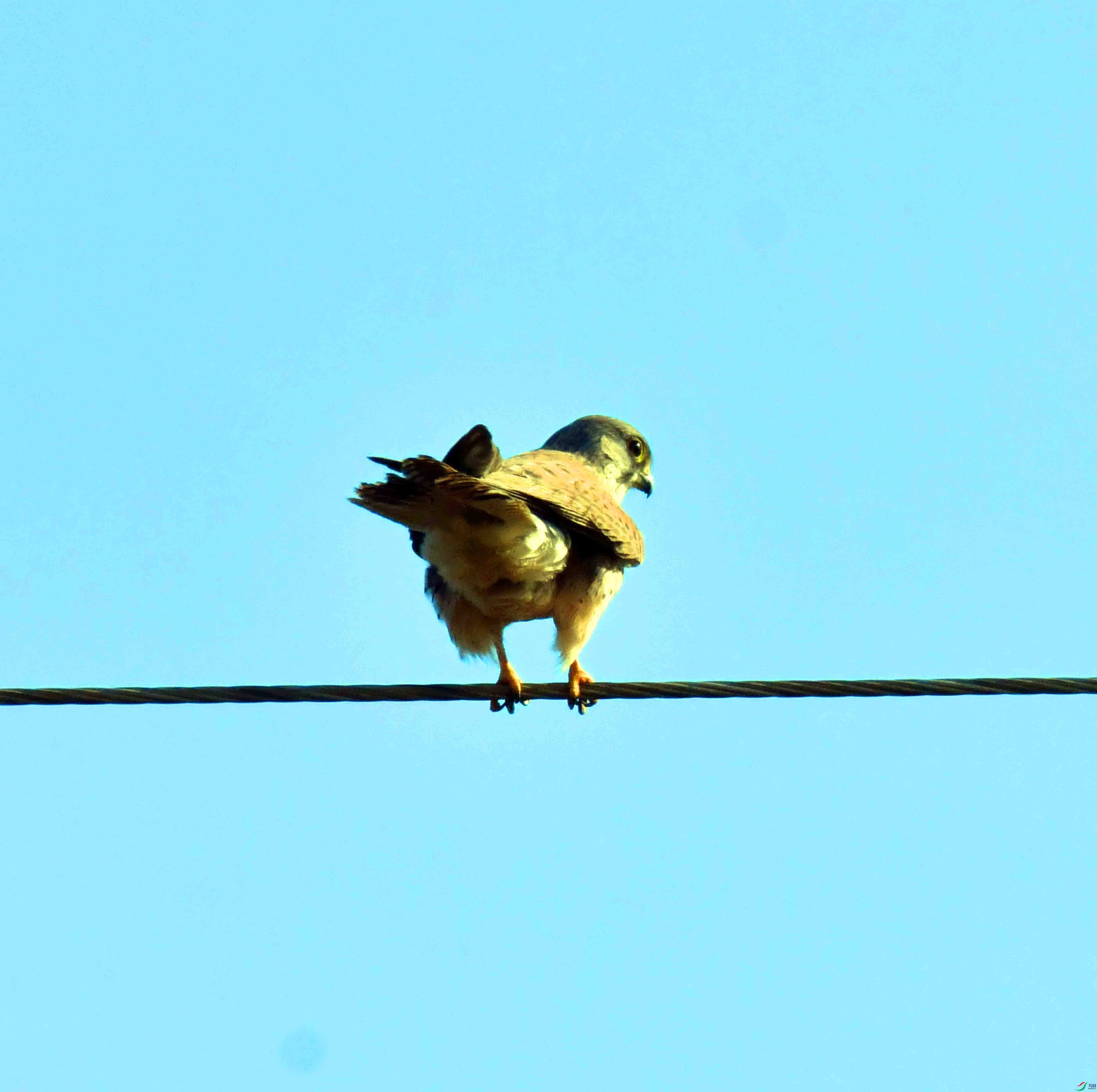 DSC_7867.JPG