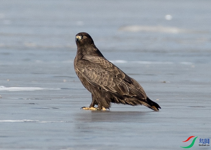 A79I3143 ���� 2.jpg