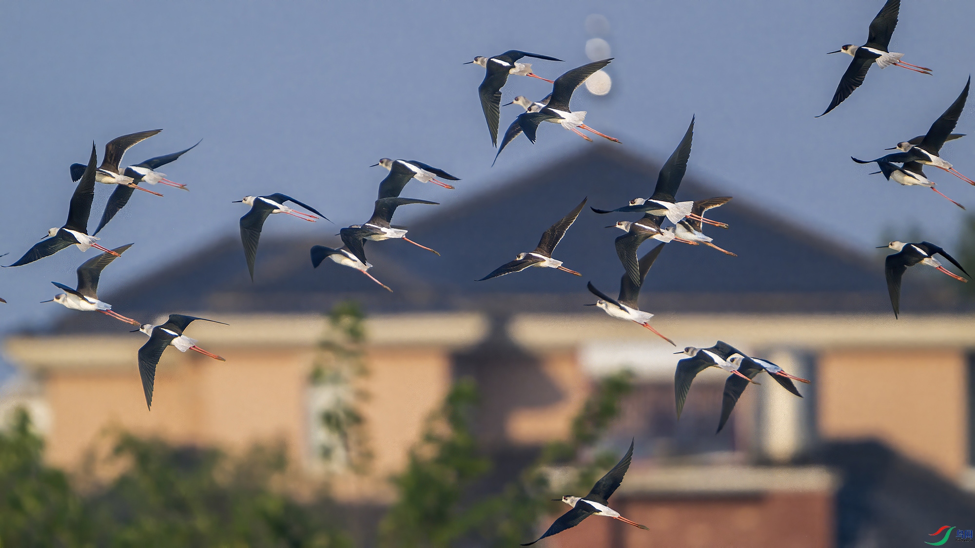 _DSC5507 ���� 2.jpg