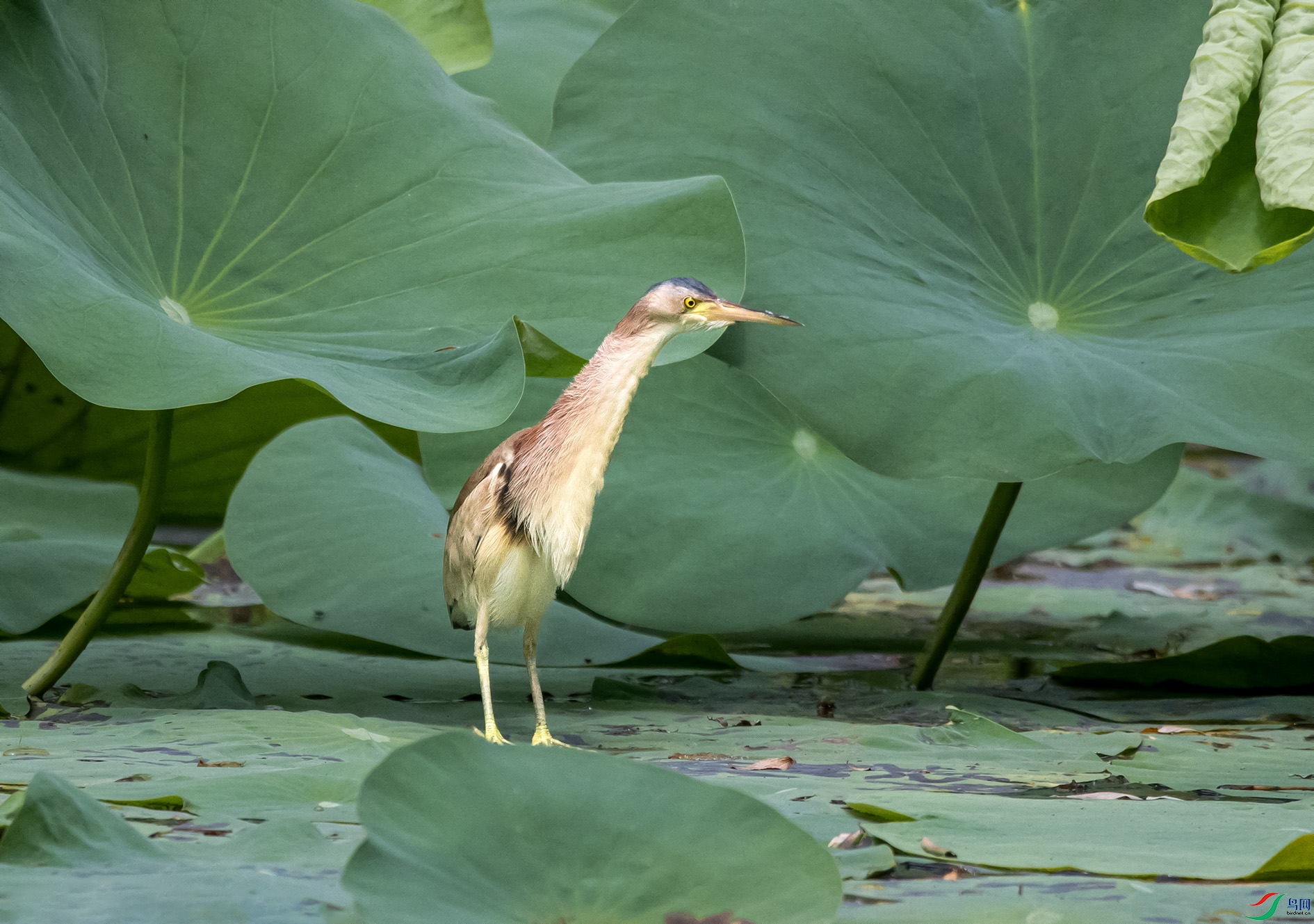 _DSC9850 ����.jpg