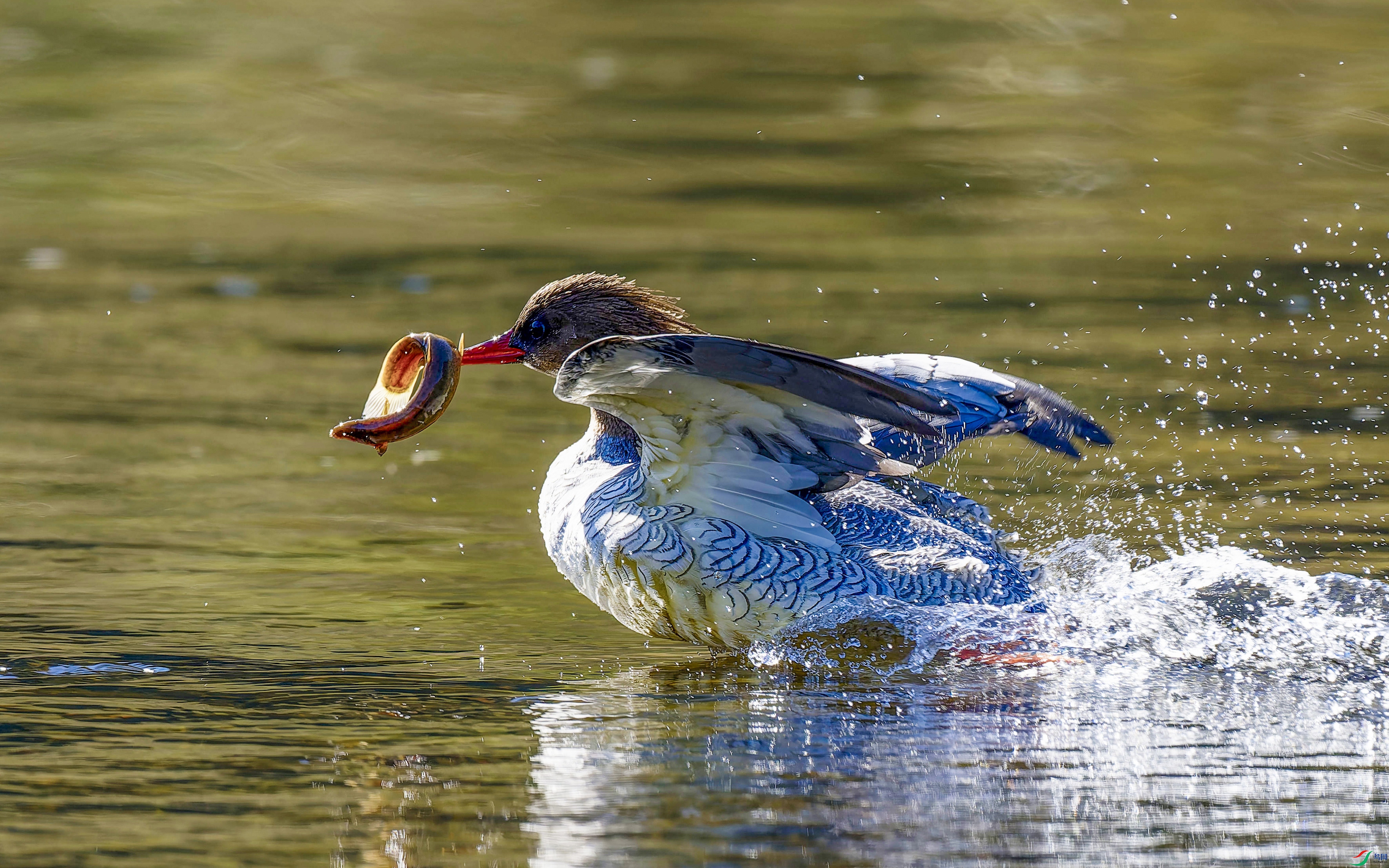 20251003-_DSC6286-NEF.jpg