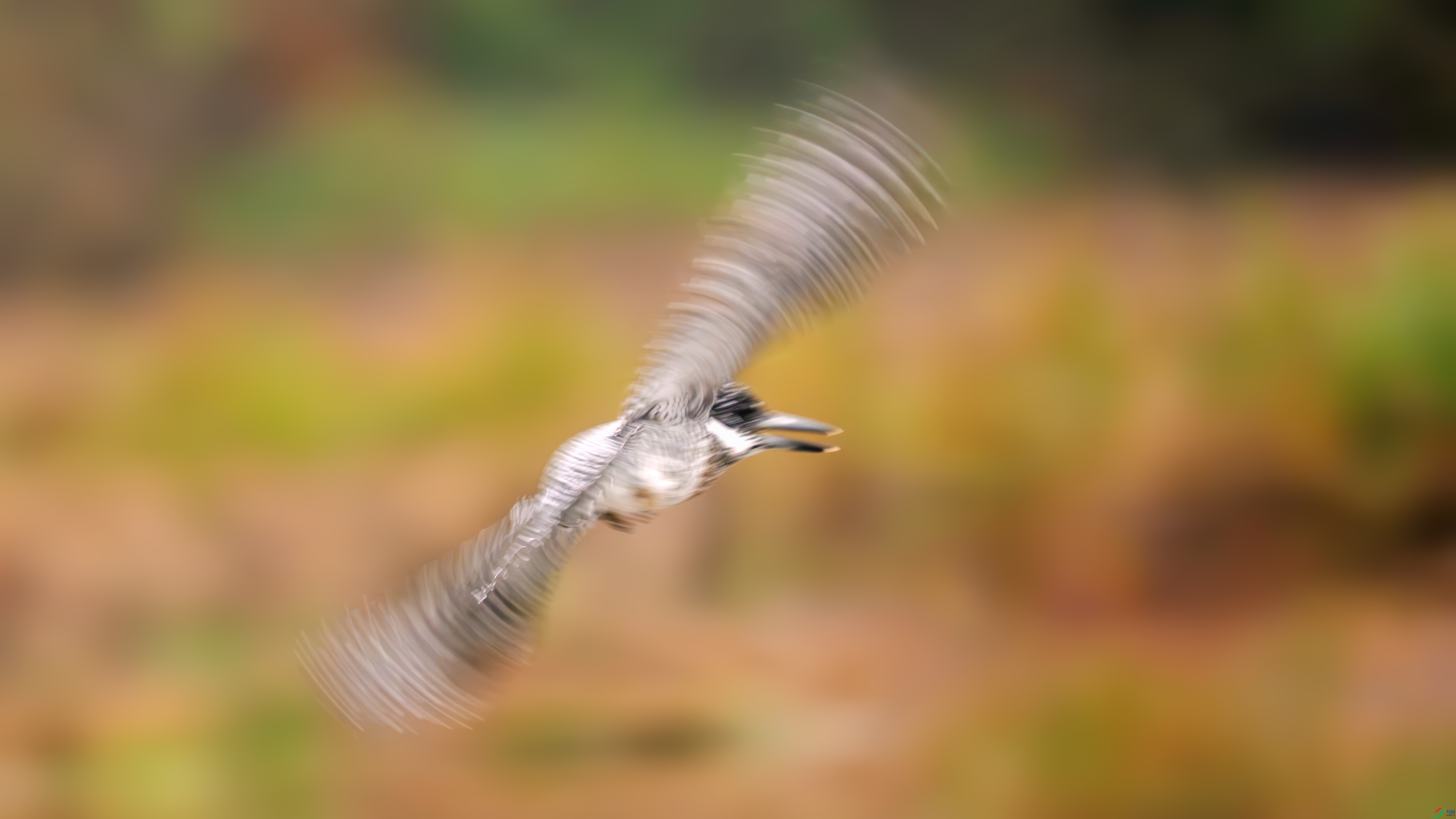 _DSC4119 ����.jpg