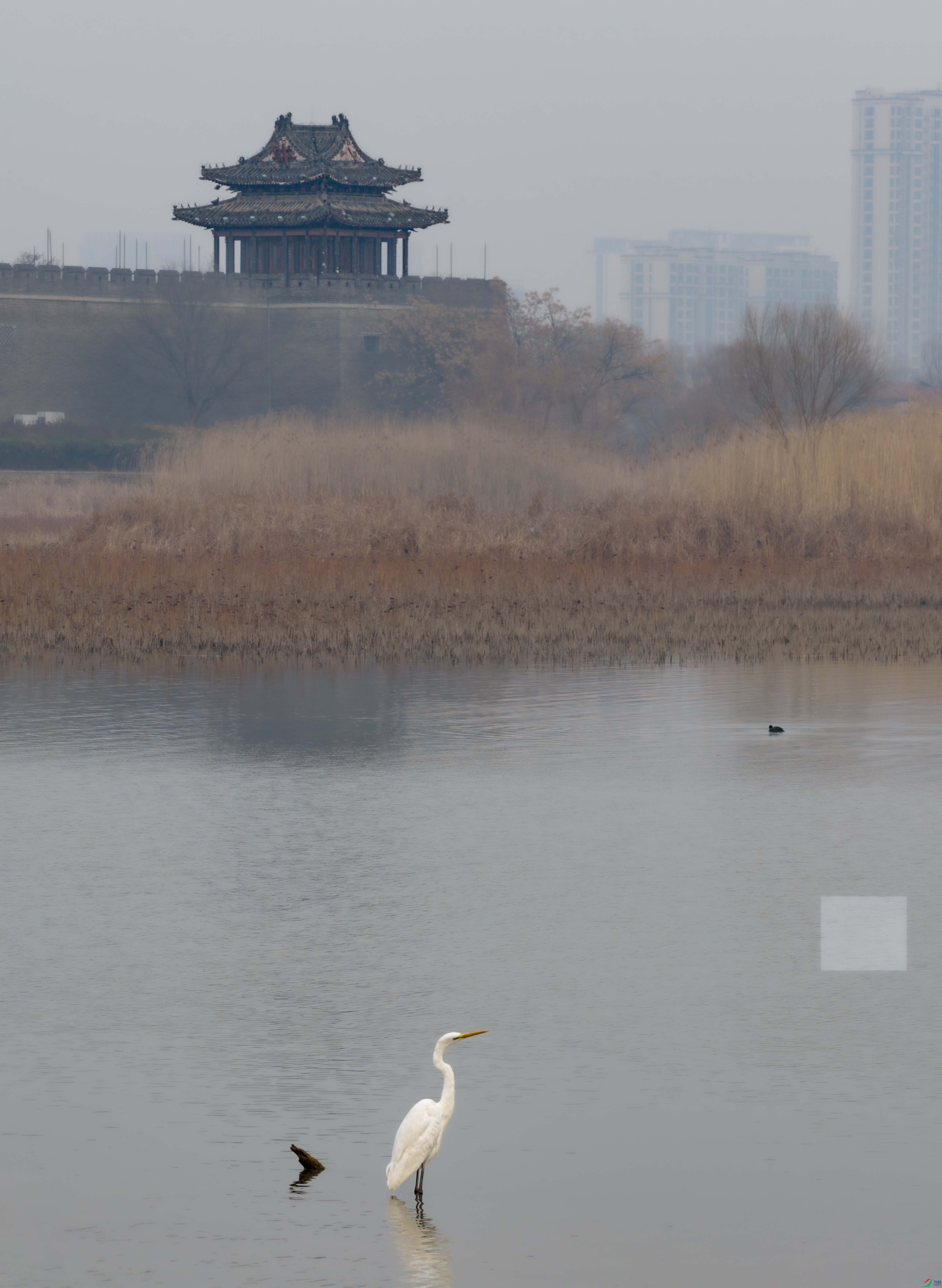 DJI_20251223154018_0087_D ����.jpg