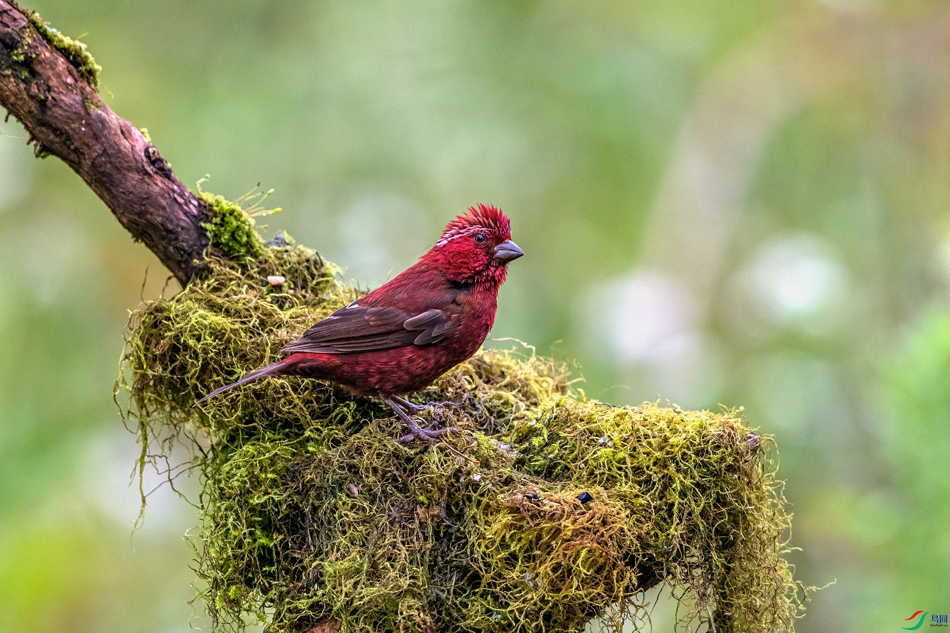 _AUU8920 �ƺ���ȸ(25.8.26).jpg