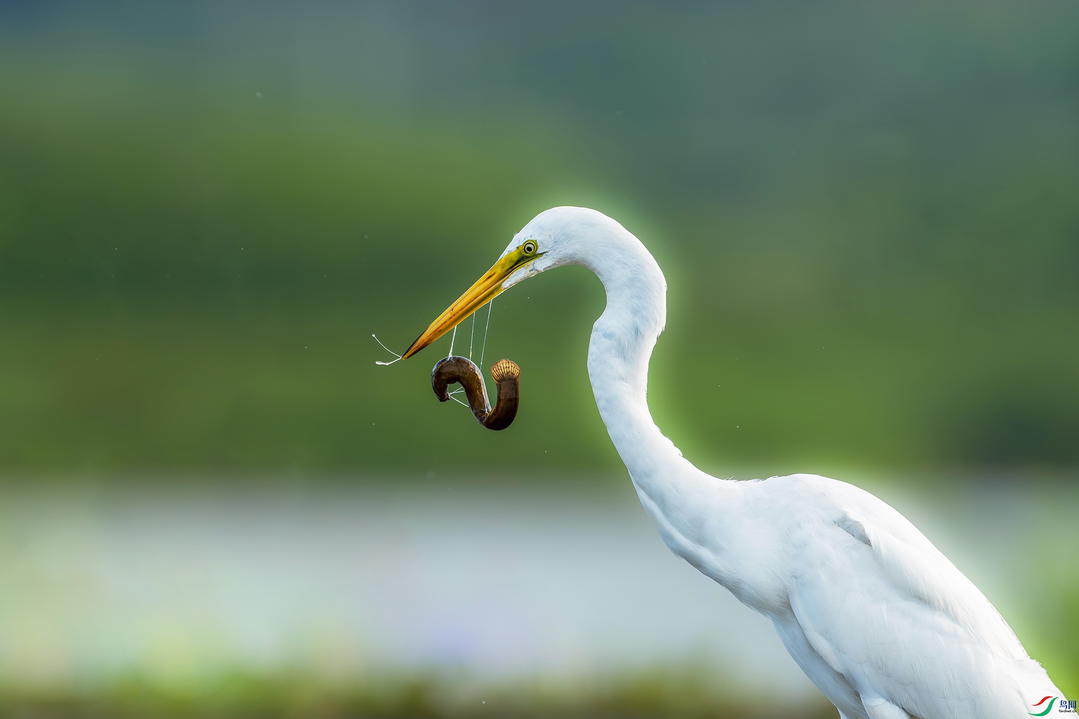 DSC7600-NR ����.jpg