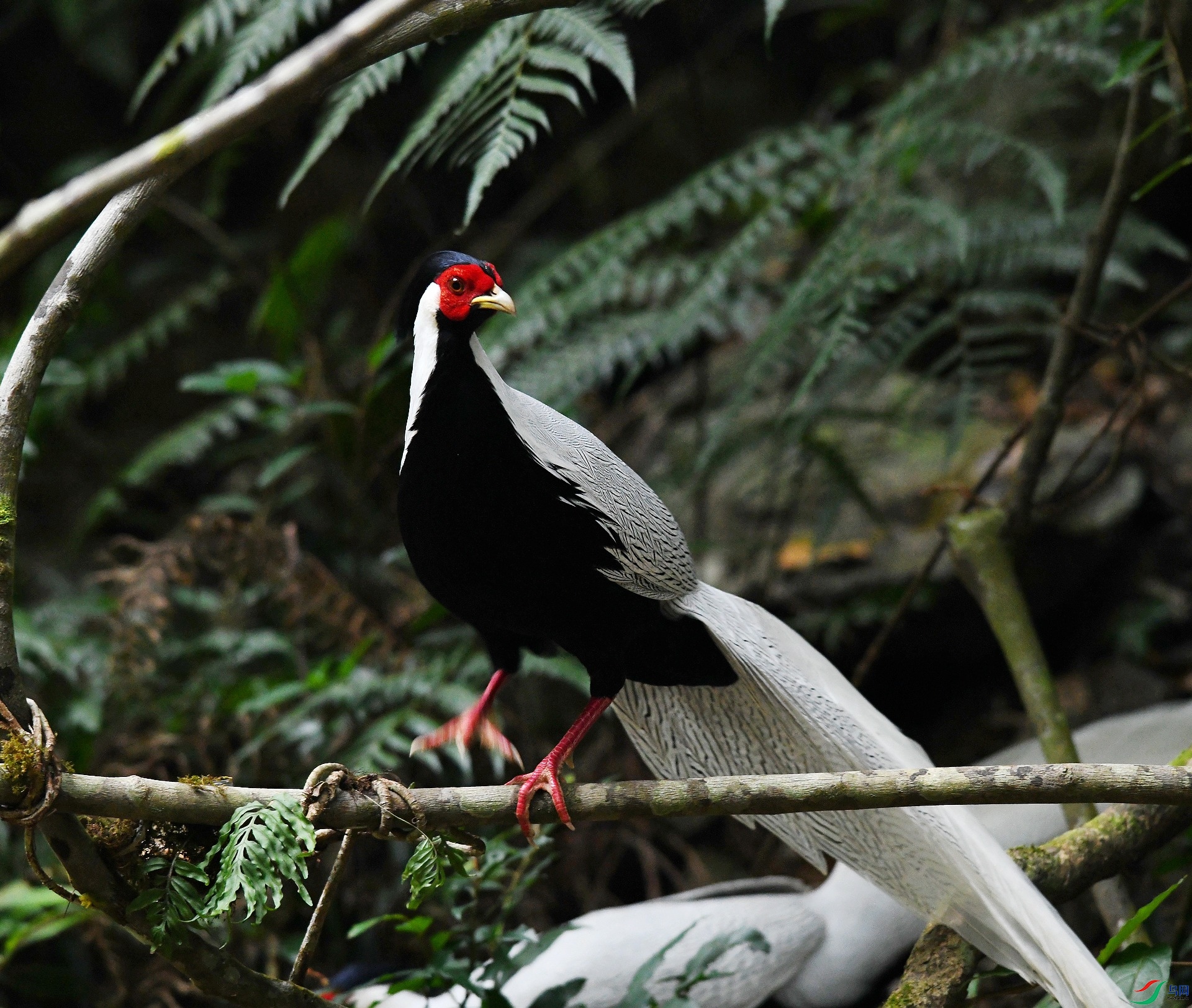 DSC_4632.jpg