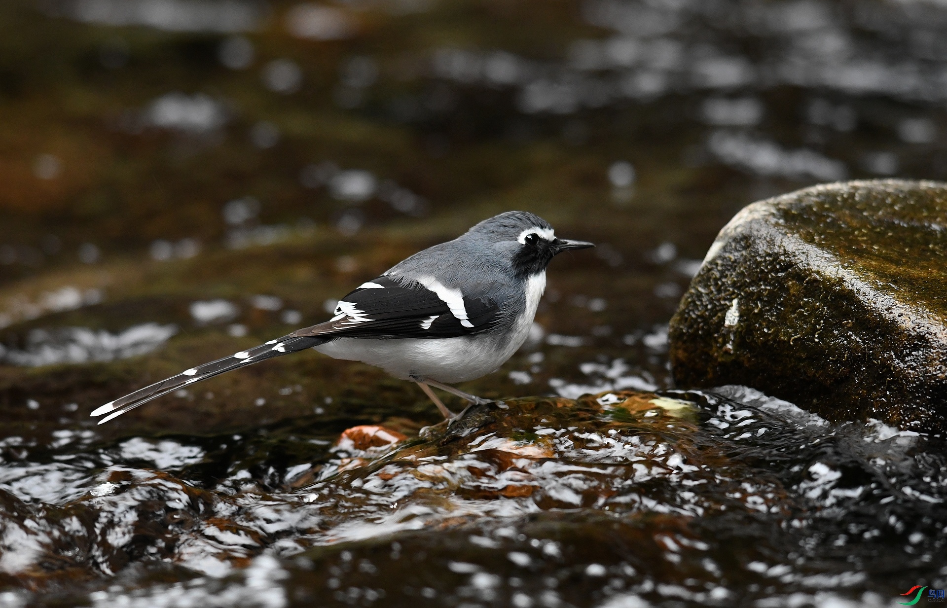 DSC_4001.jpg