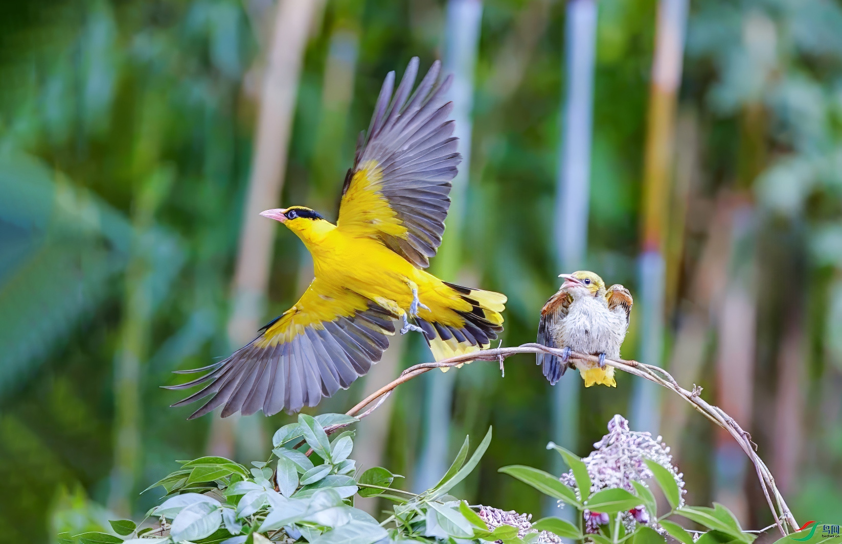 1��4�� (1)-���� ����.jpg