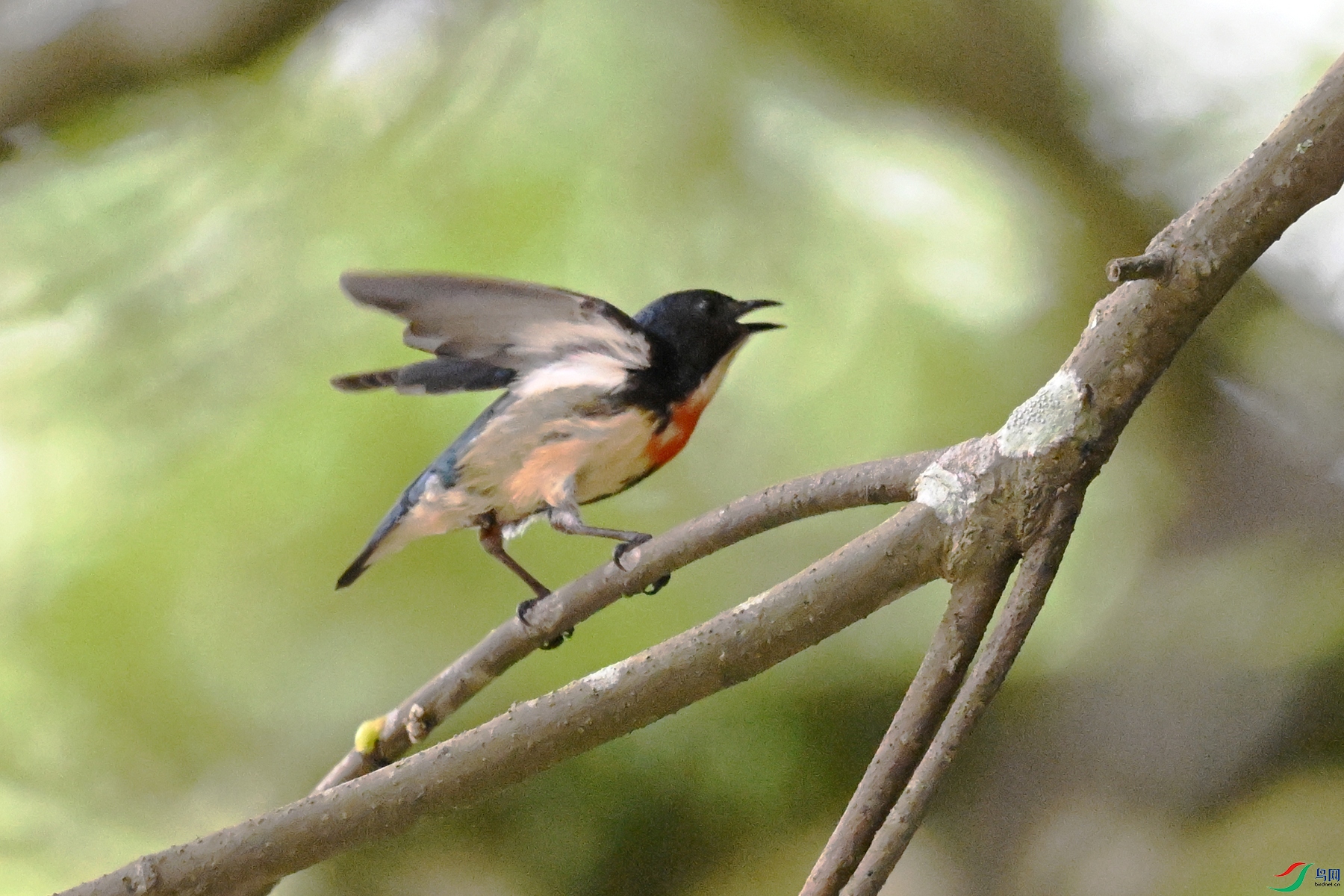 DSC_9803.JPG