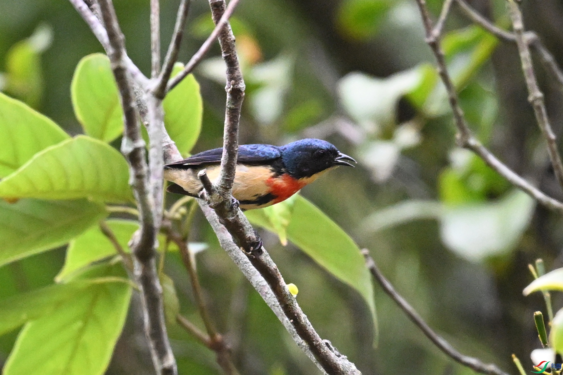 DSC_9796.JPG