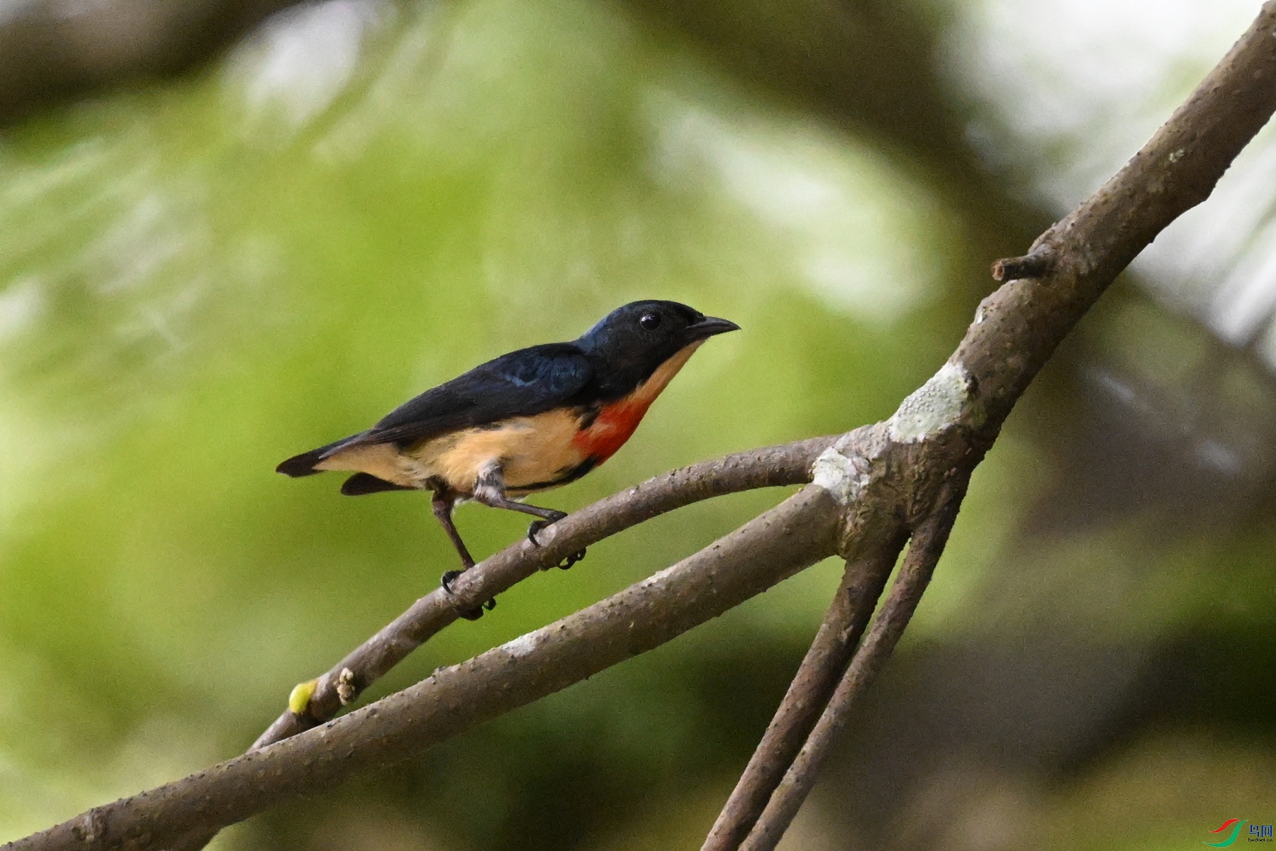 DSC_9811.JPG