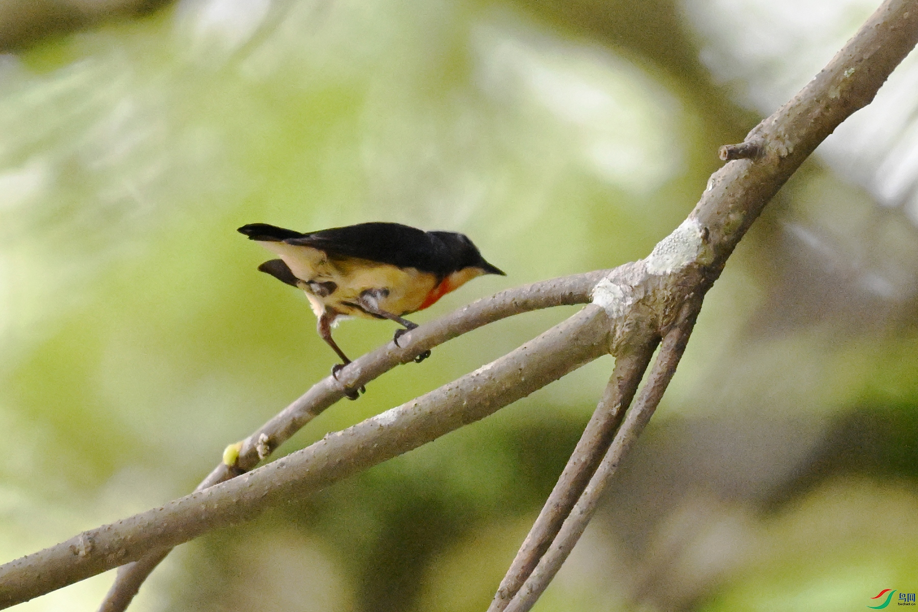 DSC_9813.JPG