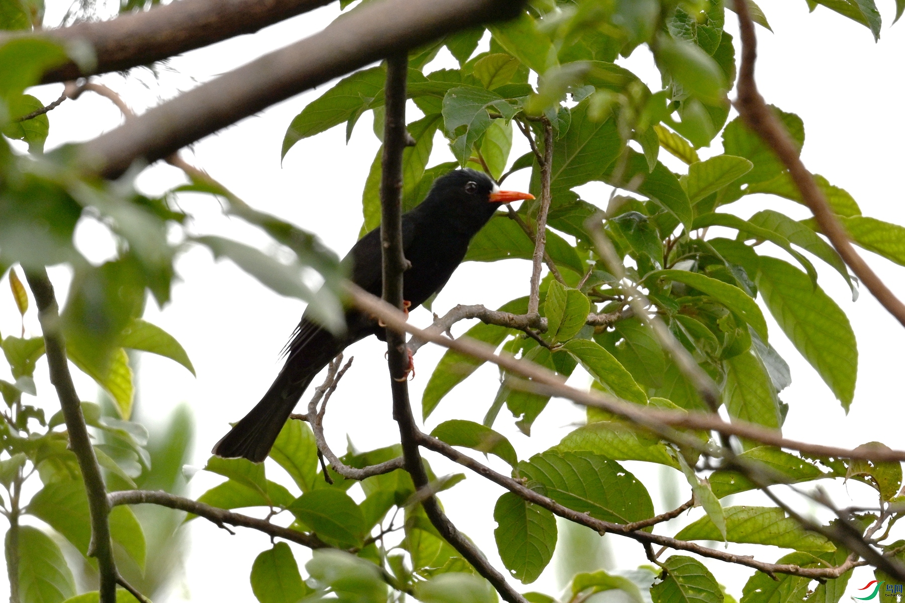 DSC_9780.JPG