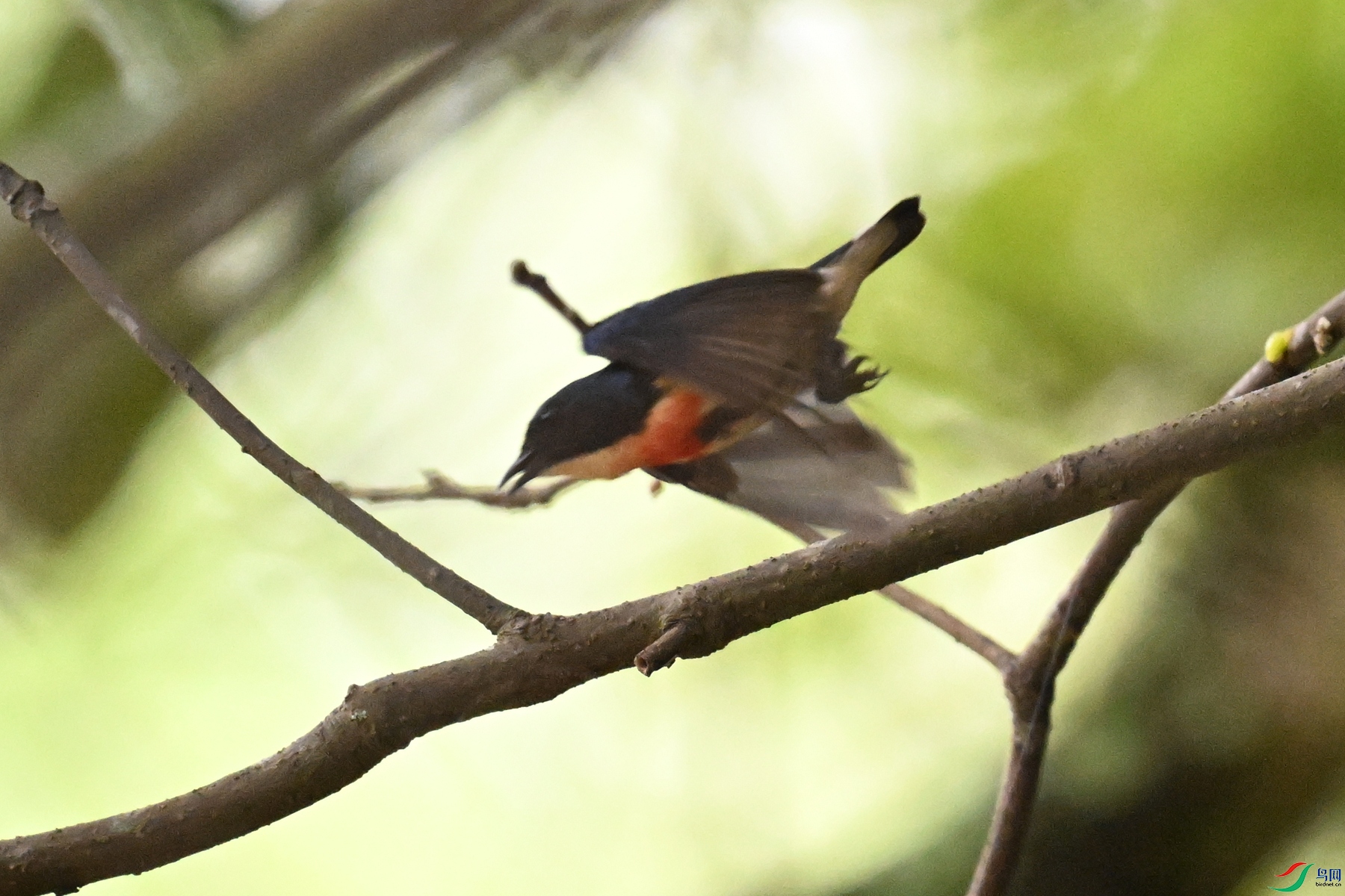 DSC_9821.JPG