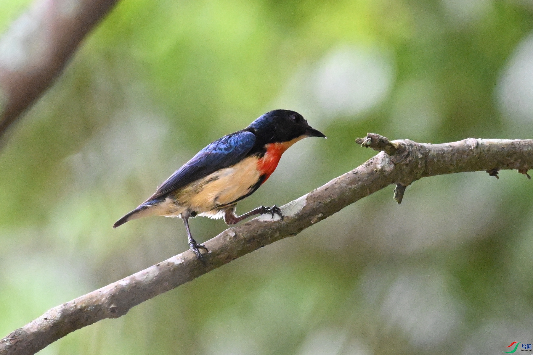 DSC_9826.JPG
