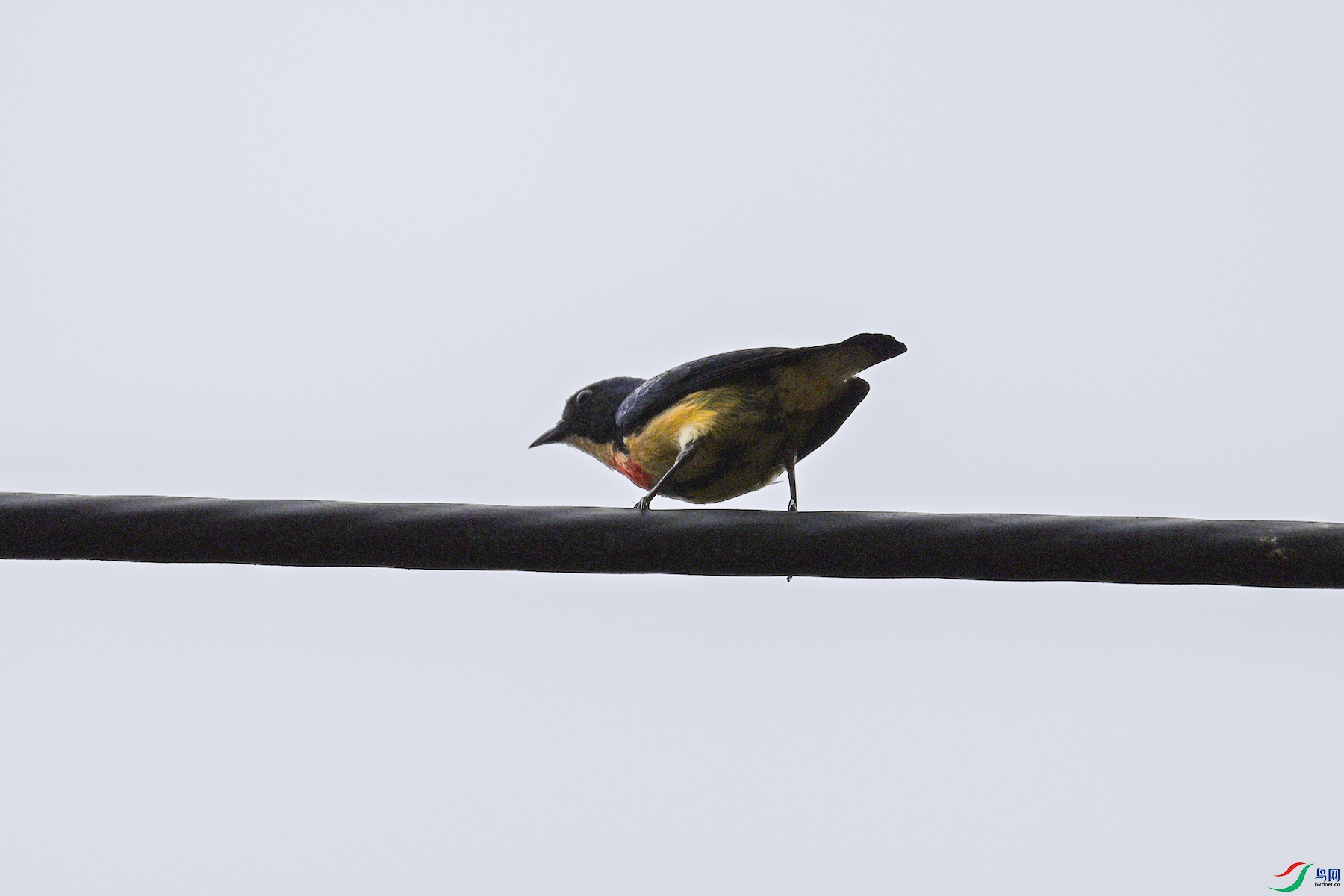 DSC_9793.JPG