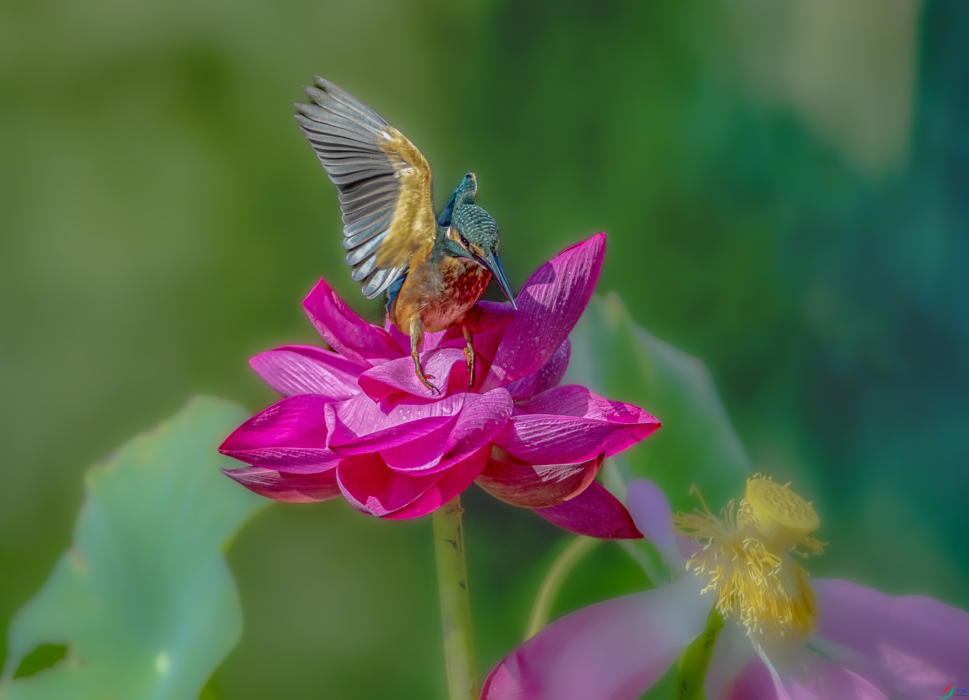 A79I0006 ����.jpg