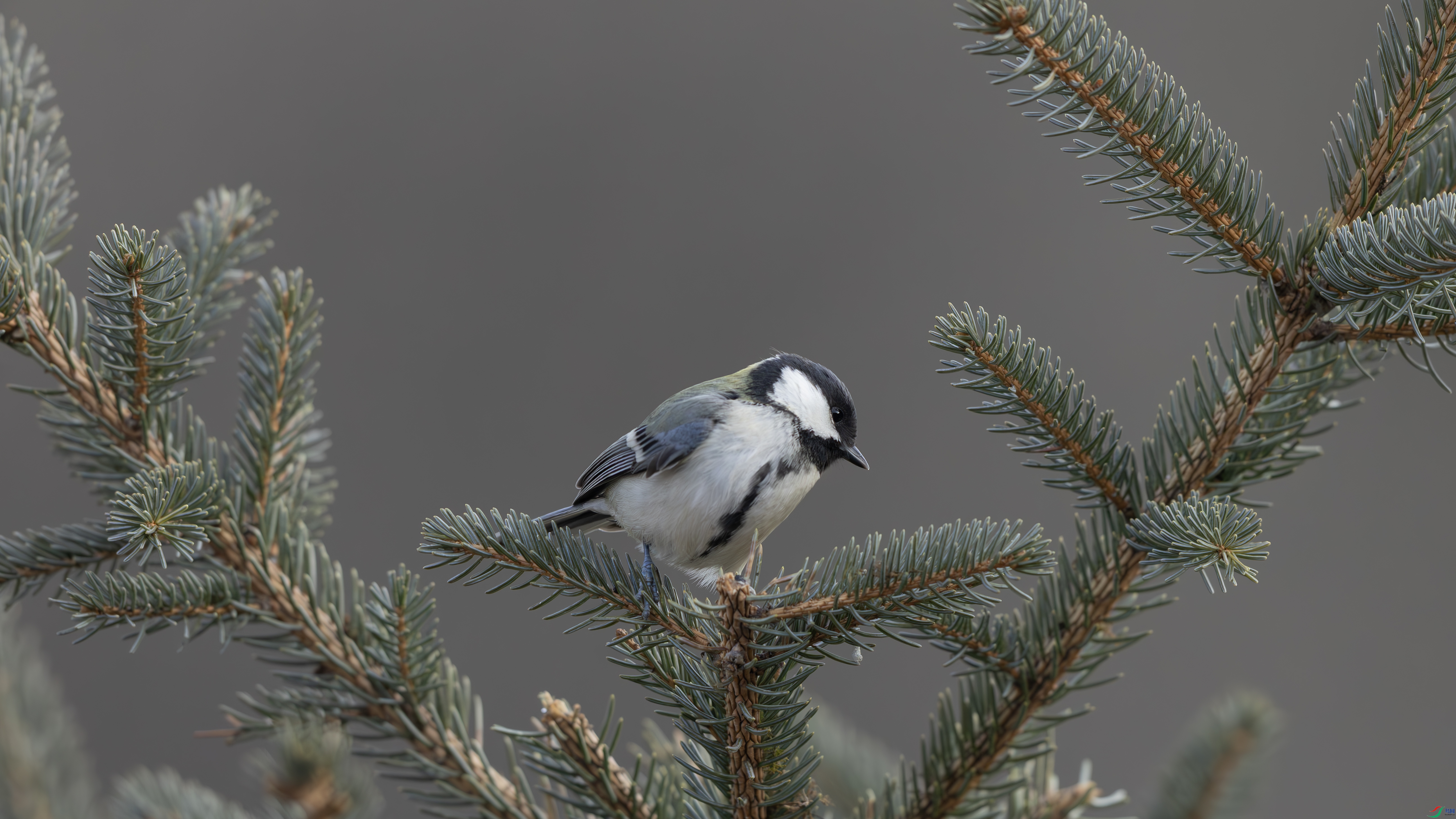 7X5A4484-����ǿ-NR ����.jpg