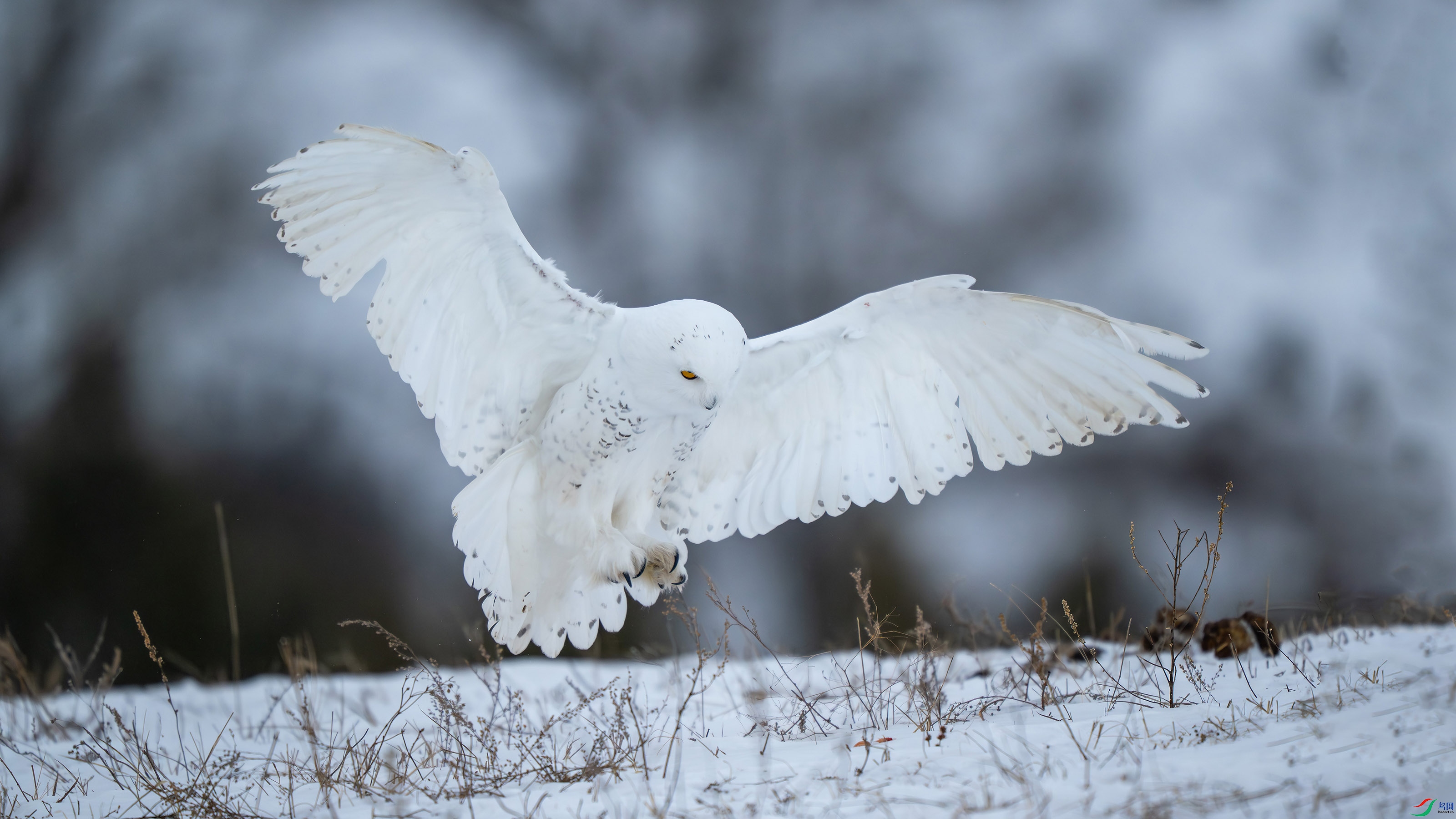 _DSC0454 ����.jpg