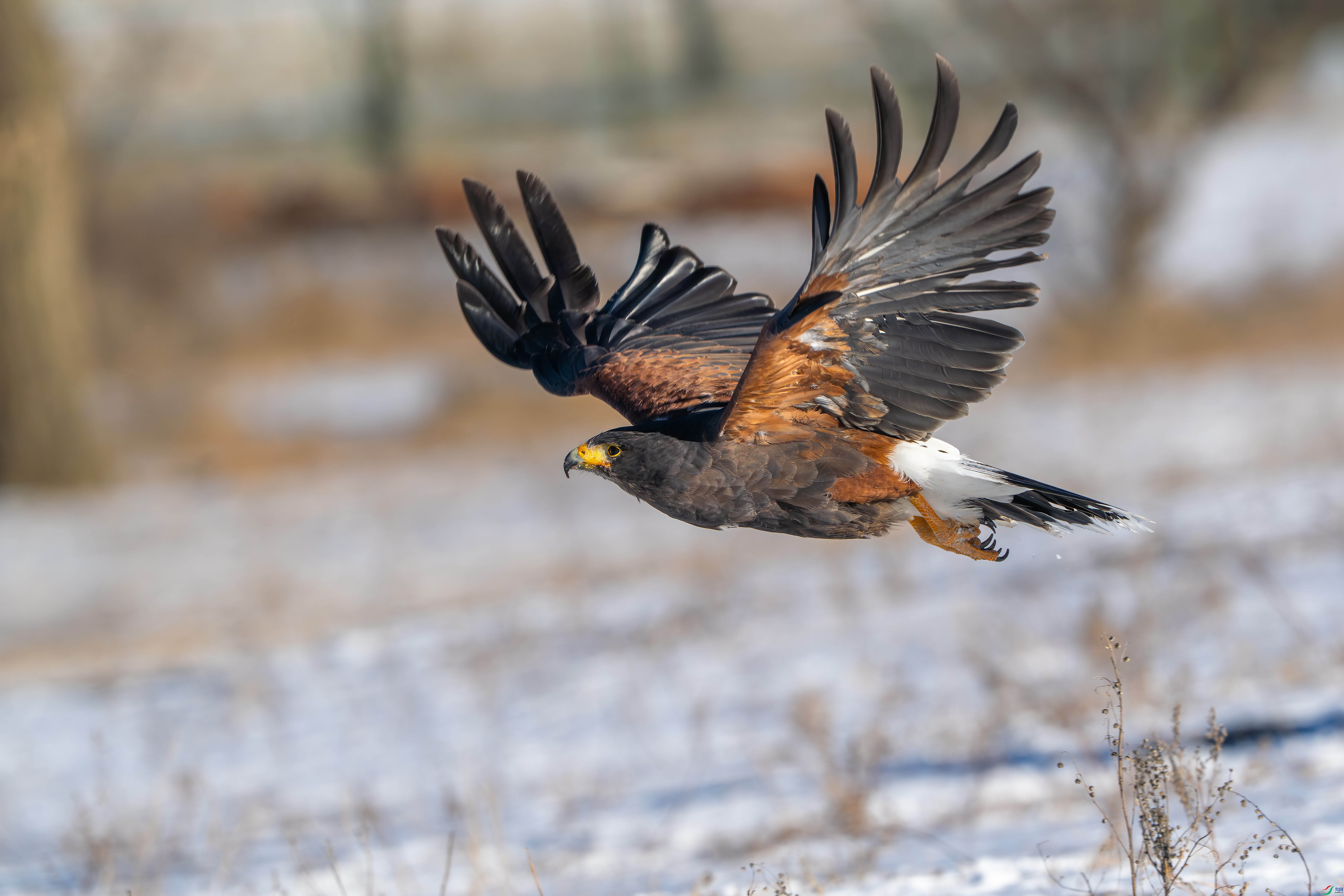 _DSC7772 ����xiao.jpg