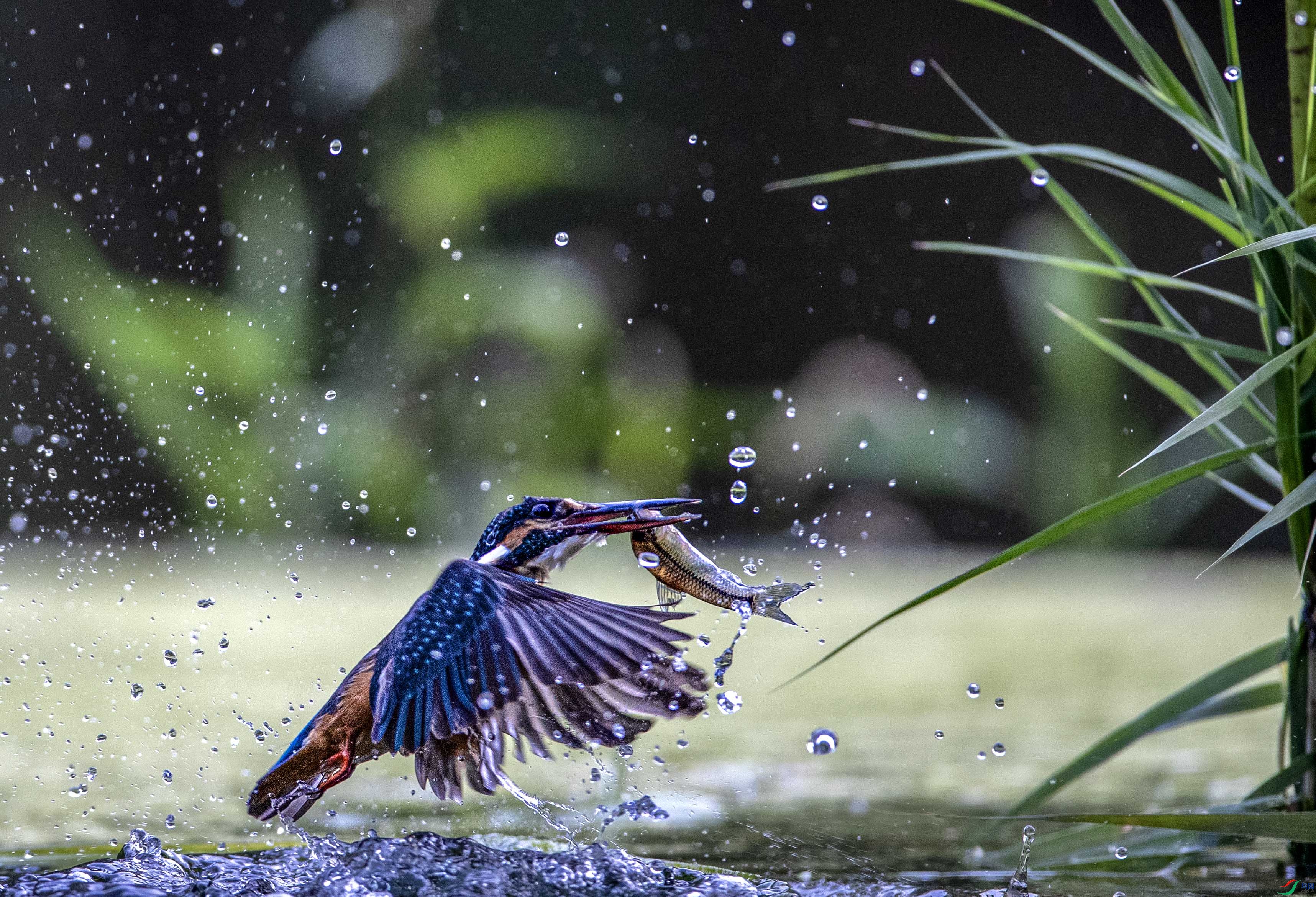 A79I3050 ����.jpg