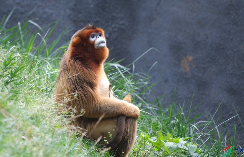 DSCF2395.1.jpg
