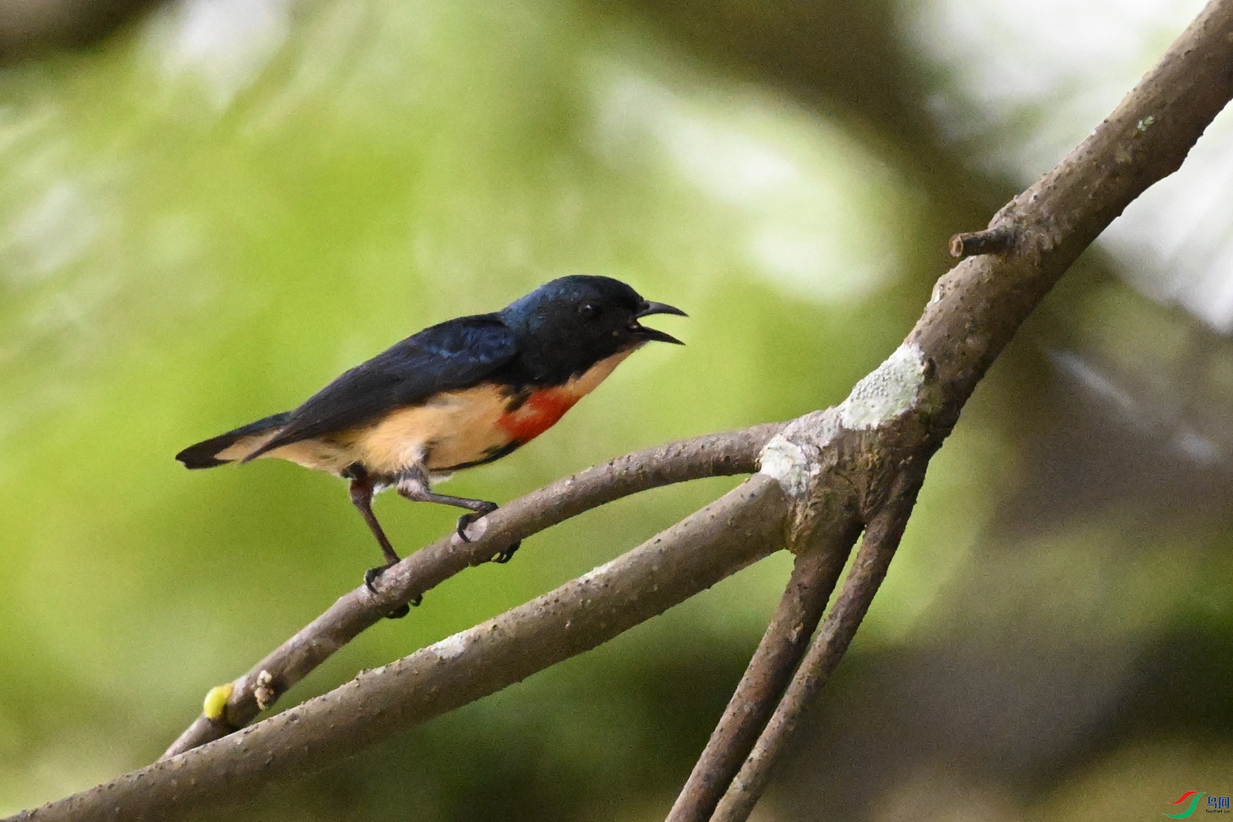 DSC_9807.JPG