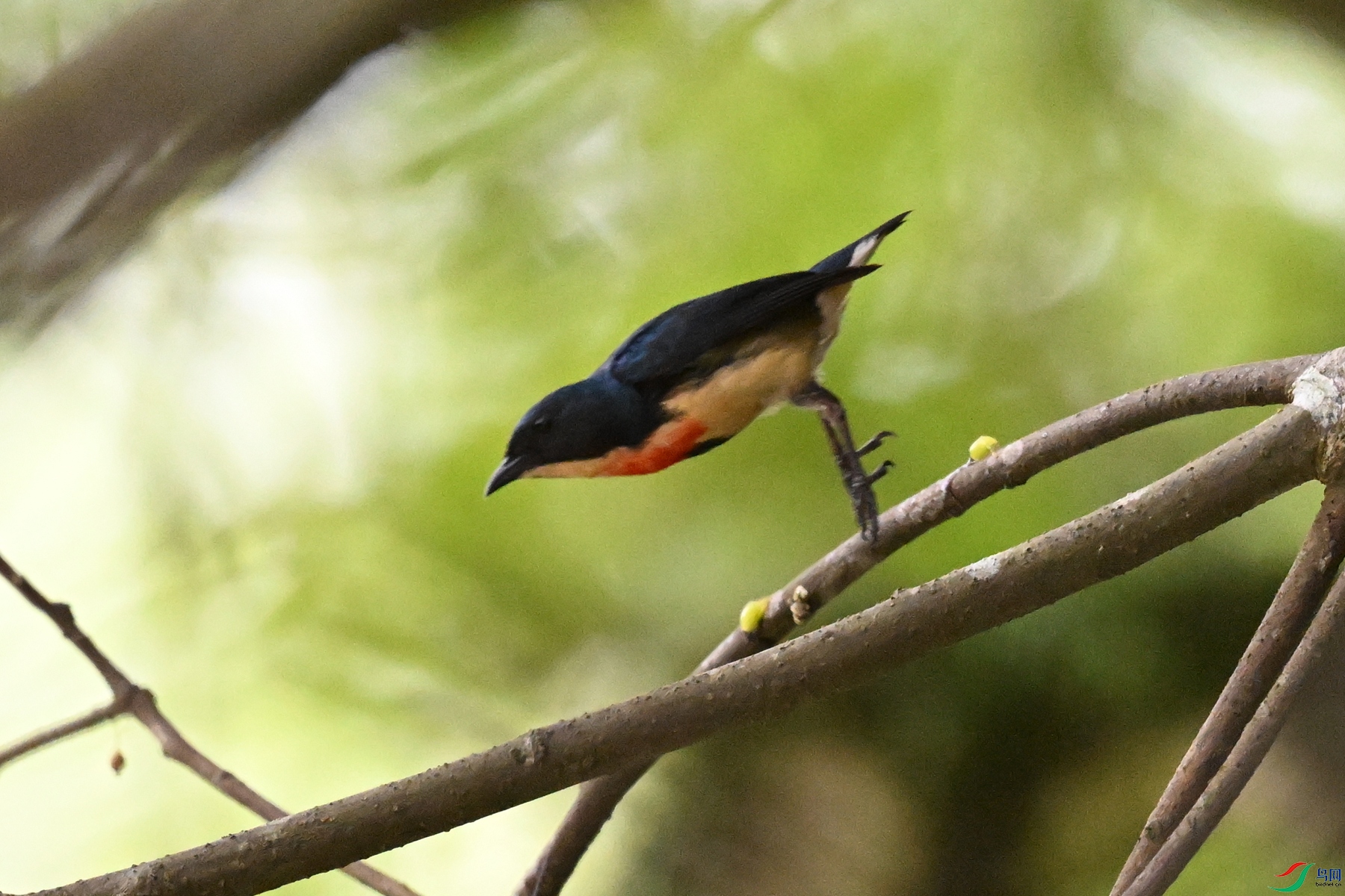 DSC_9820.JPG