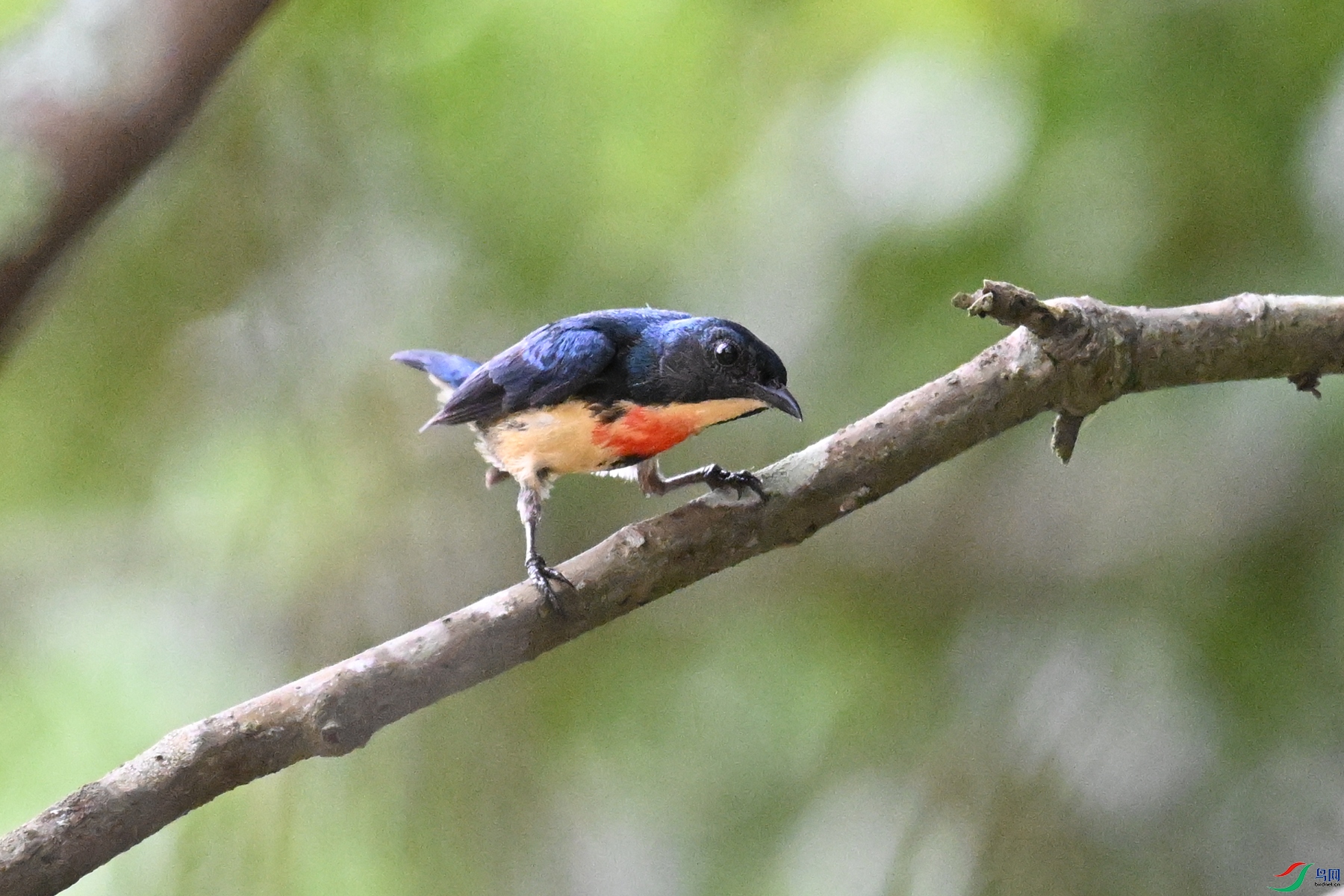 DSC_9824.JPG