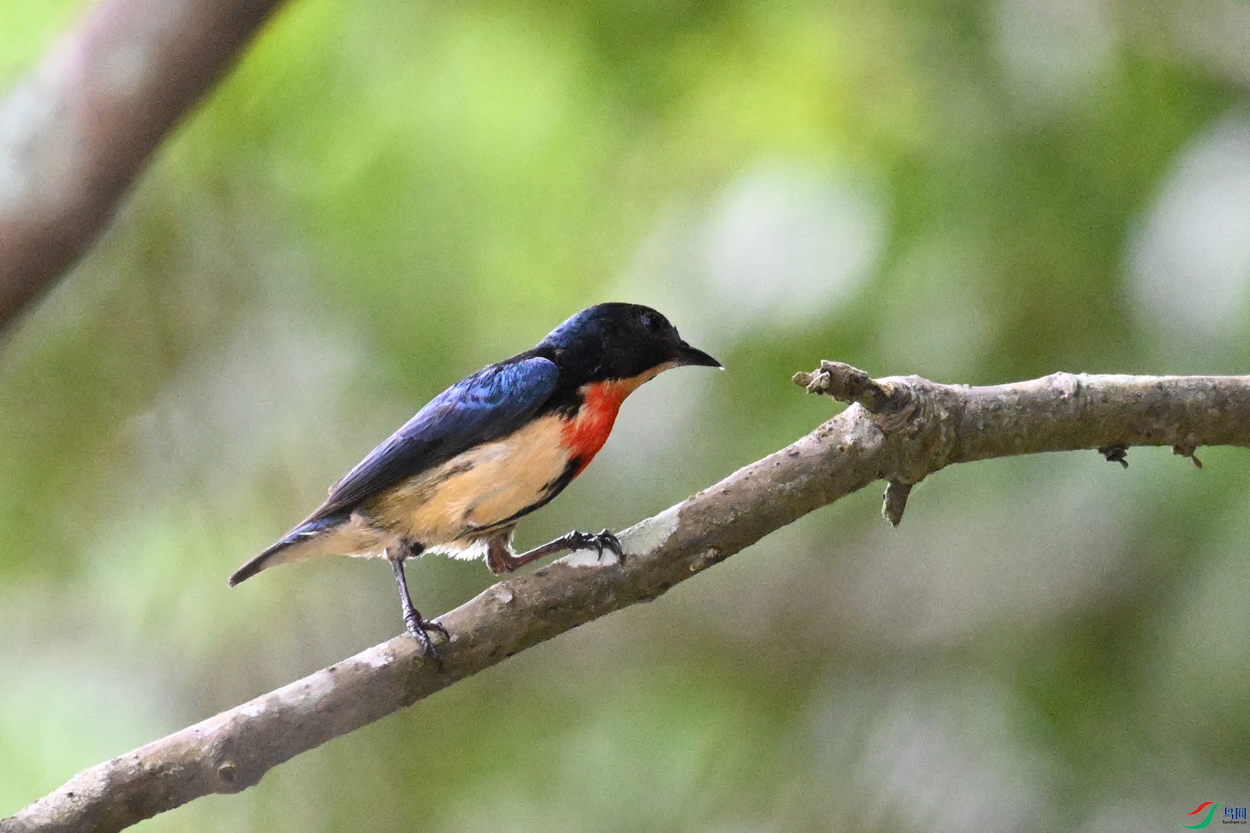 DSC_9828.JPG