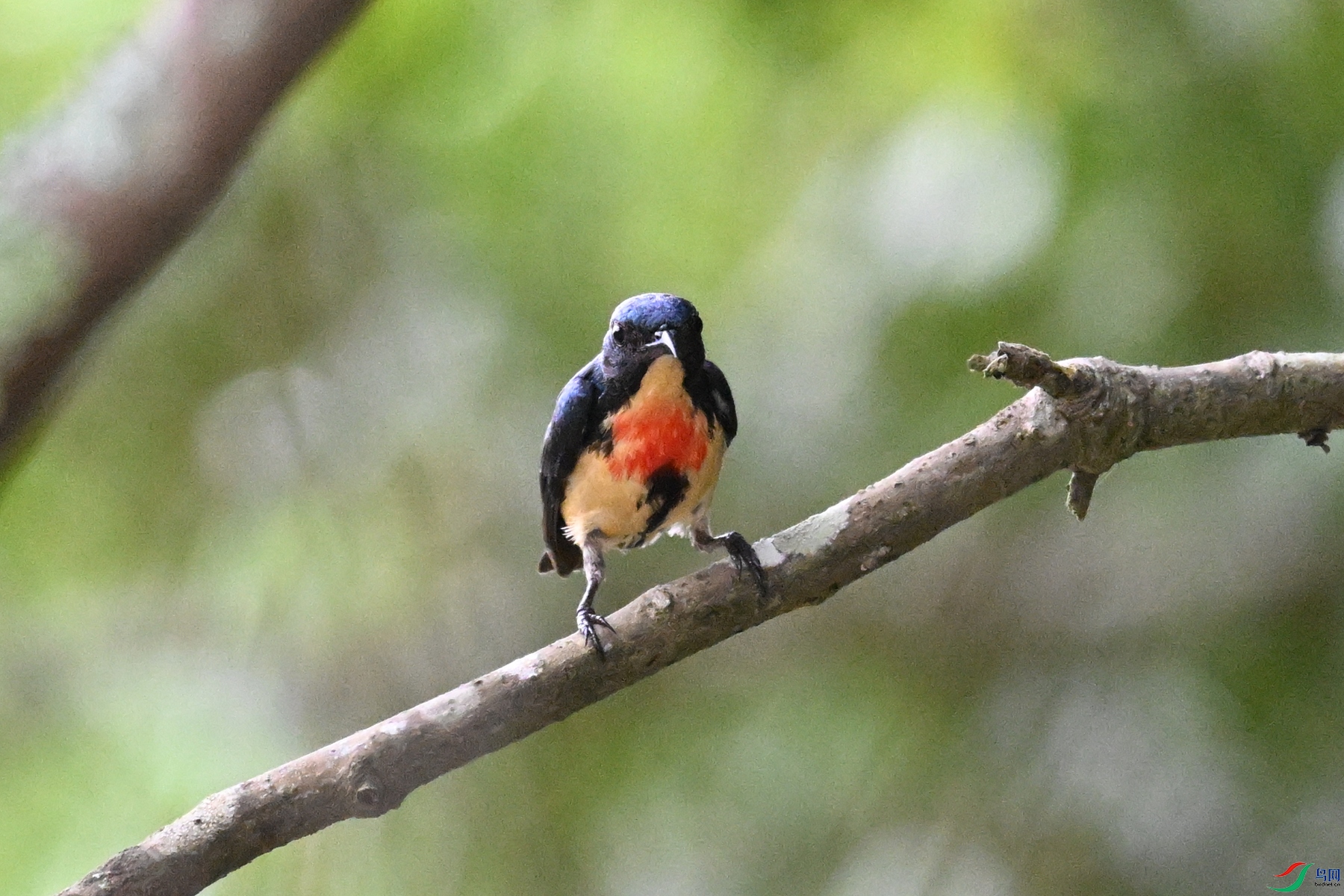 DSC_9829.JPG