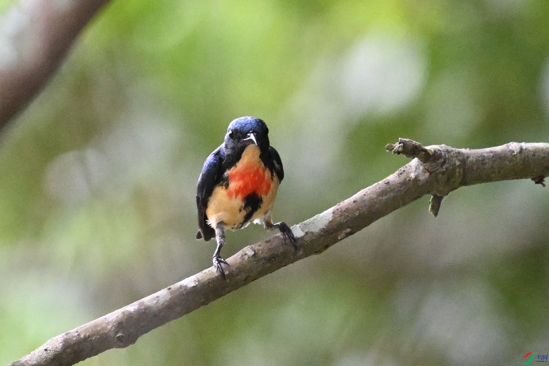 DSC_9830.JPG