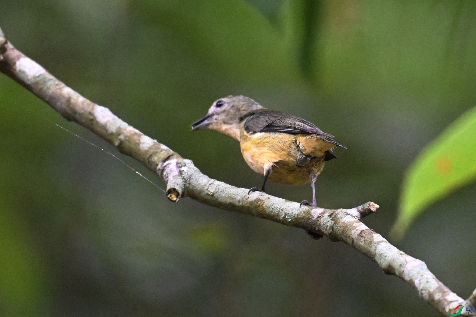 DSC_9871.JPG