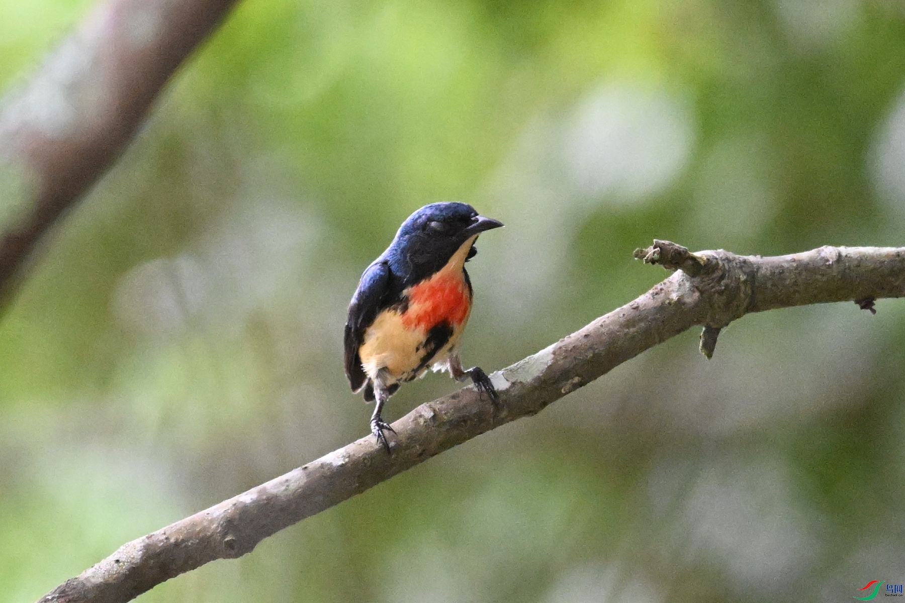 DSC_9831.JPG