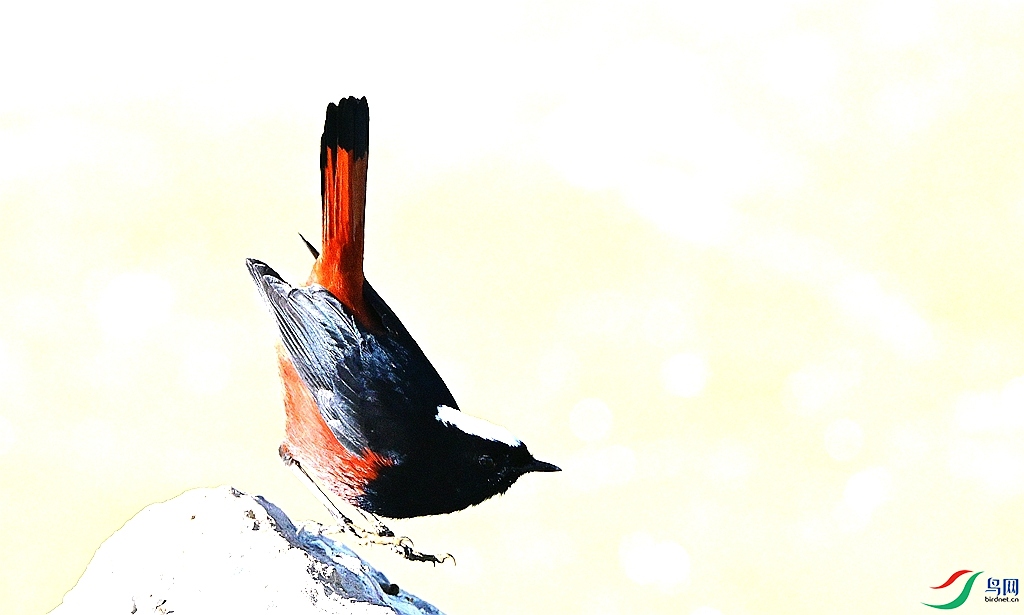 DSC_1191 - ����.JPG