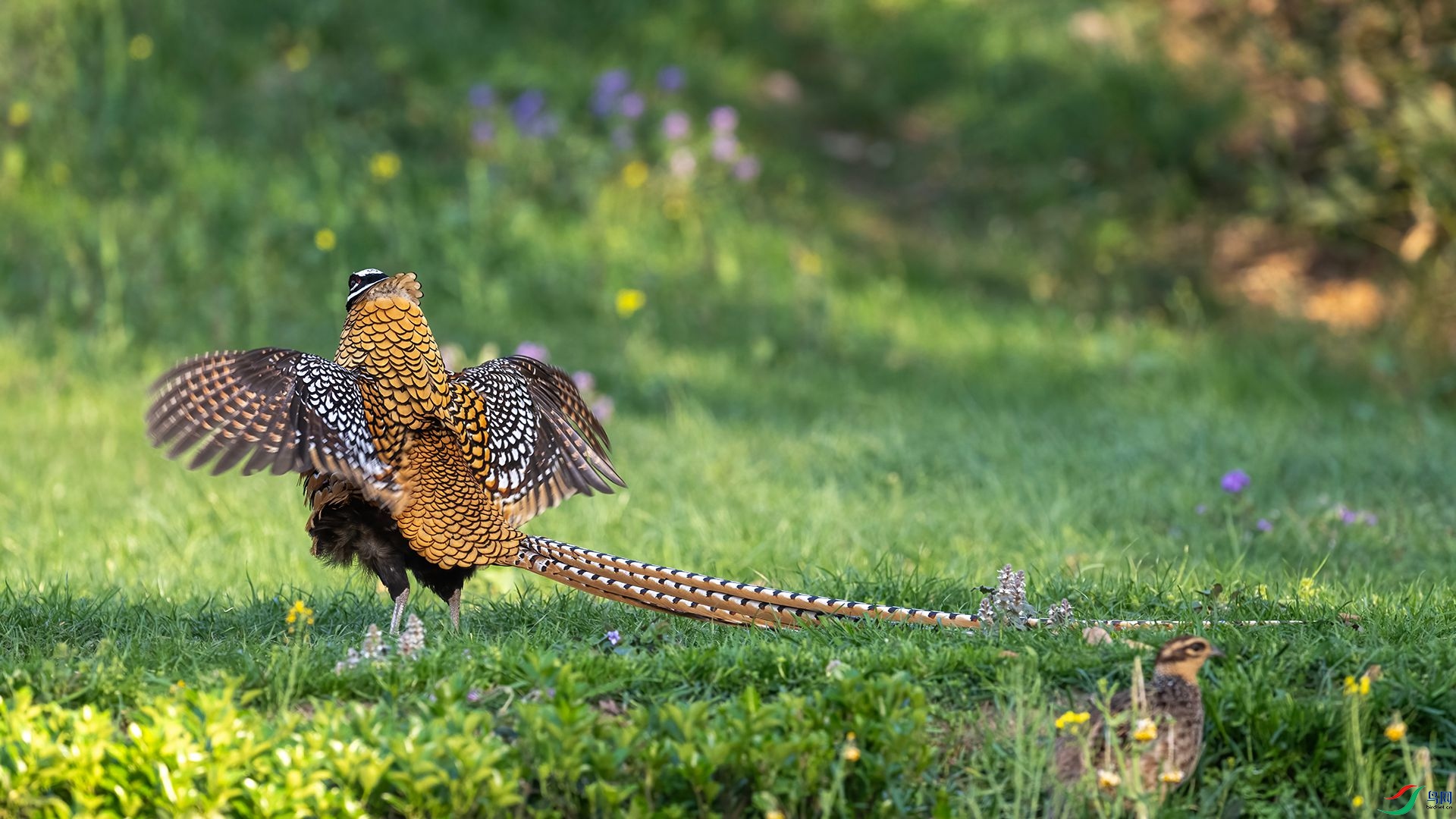 _DSC5417 ����.jpg