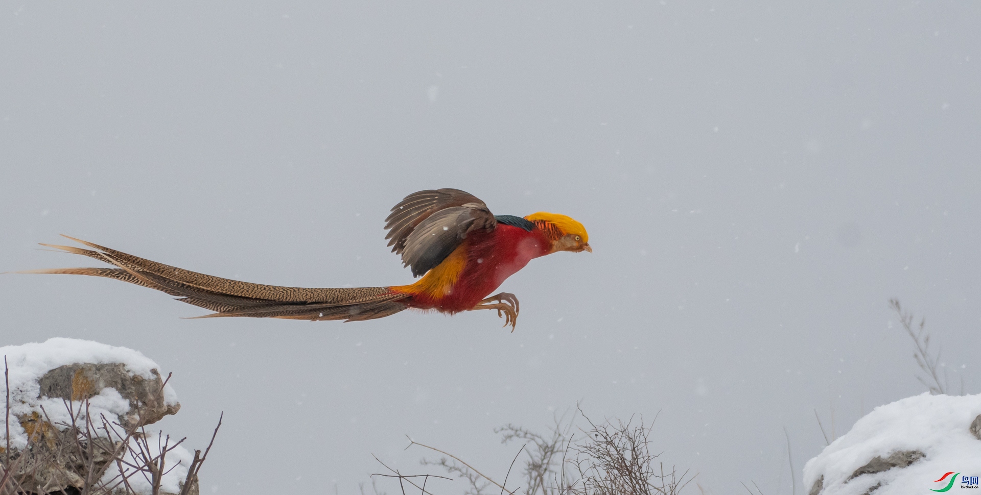 DSC_4146.jpg