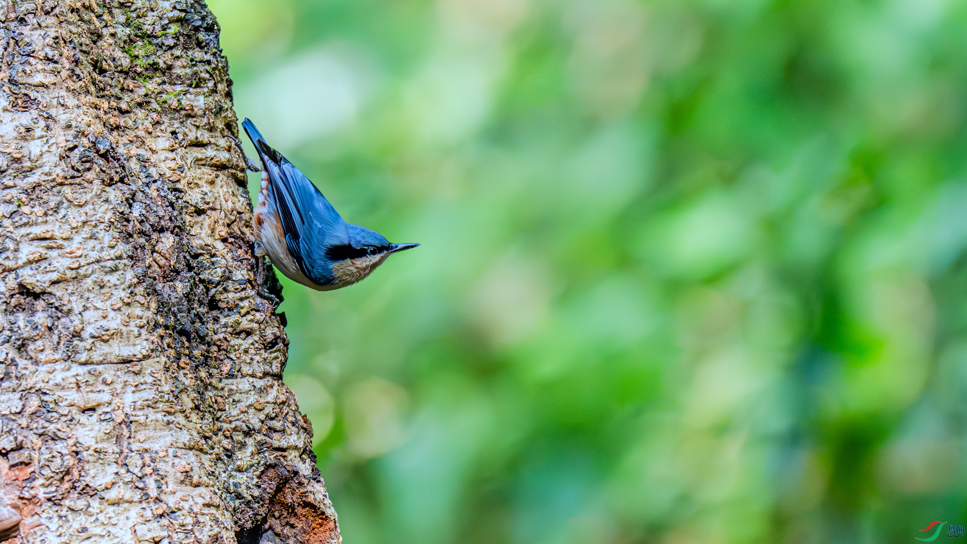 DSC_6246 ����_����.jpg