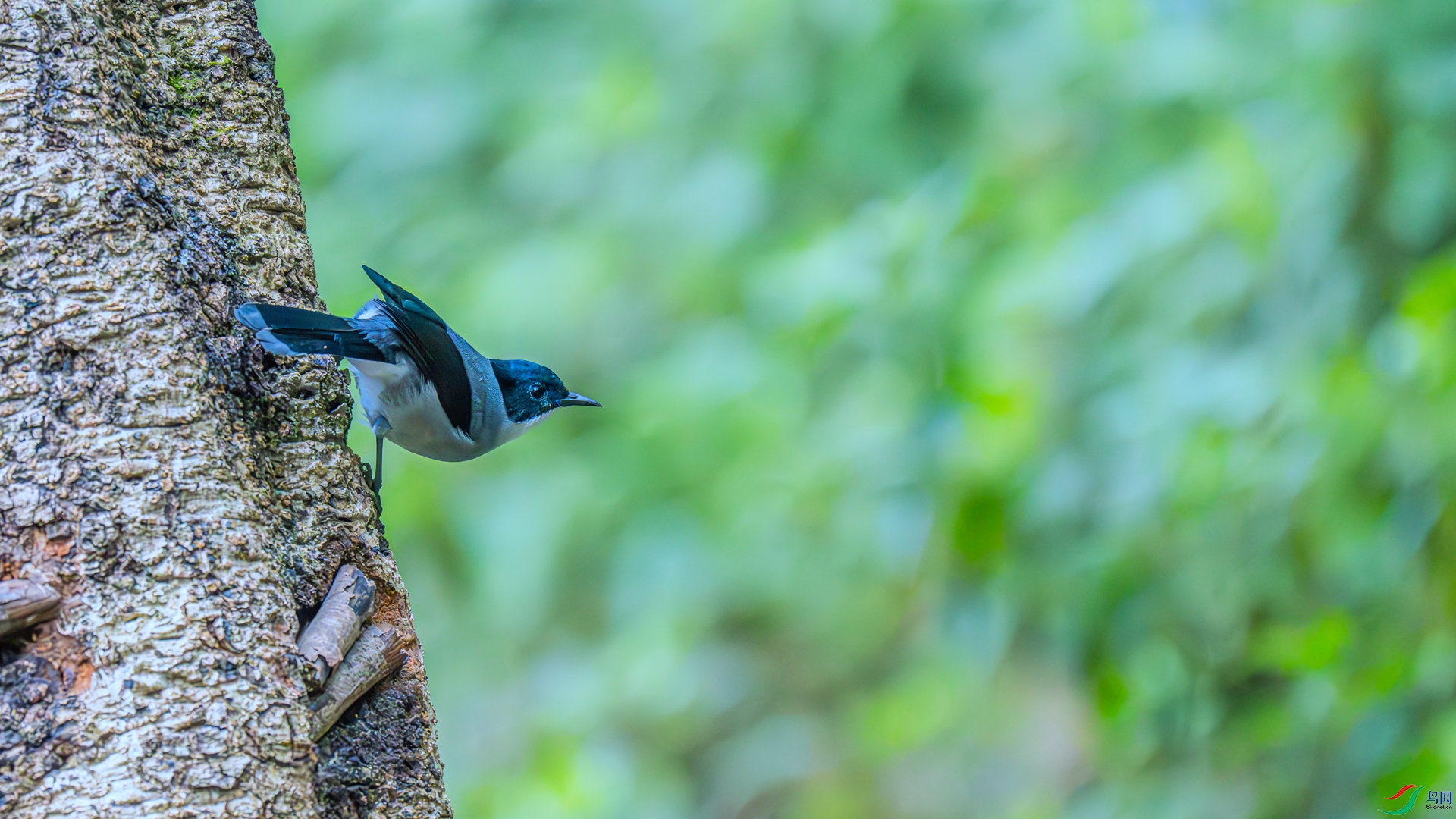 DSC_4275 ����_����.jpg