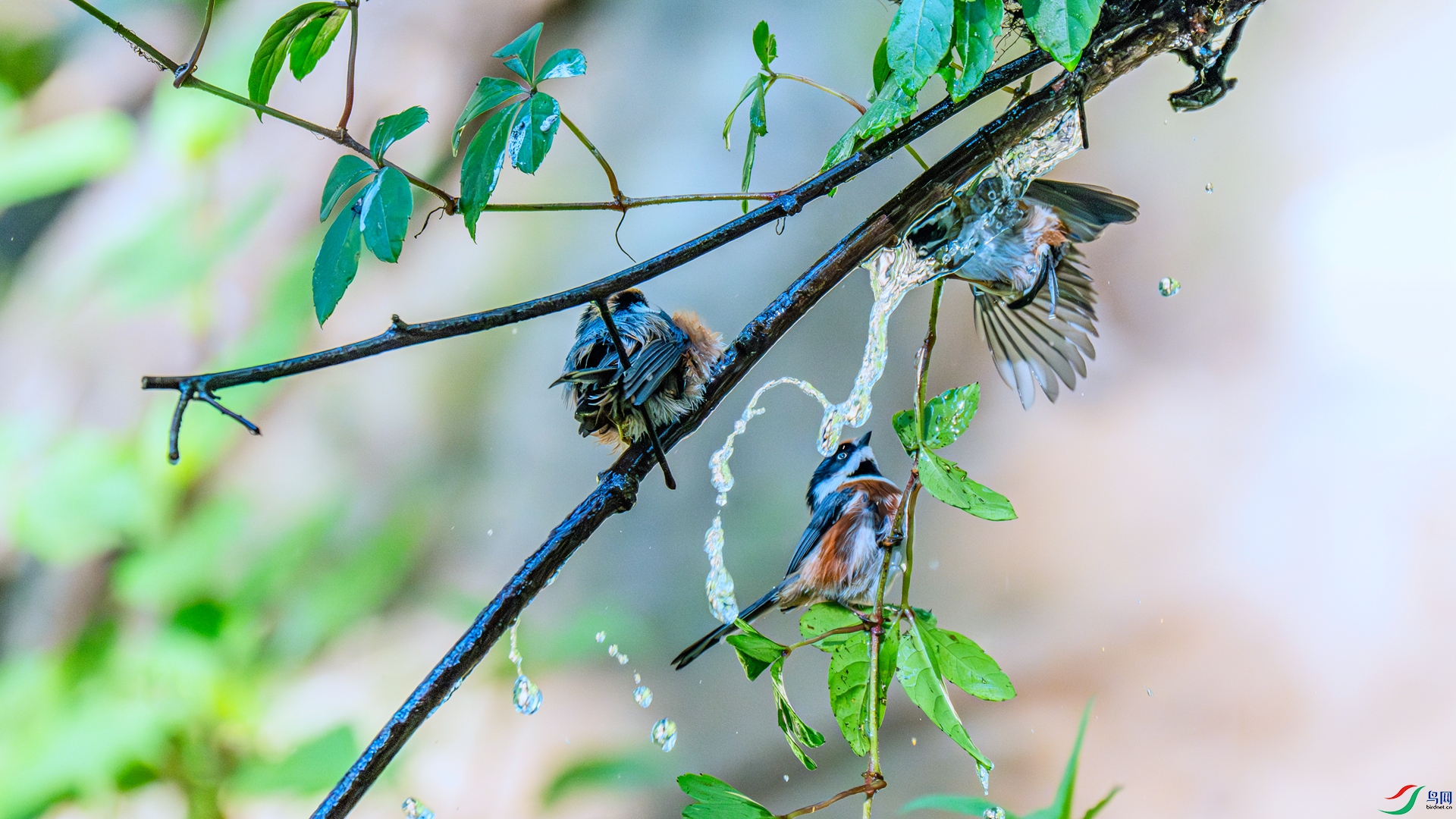 DSC_7380 ����_����.jpg