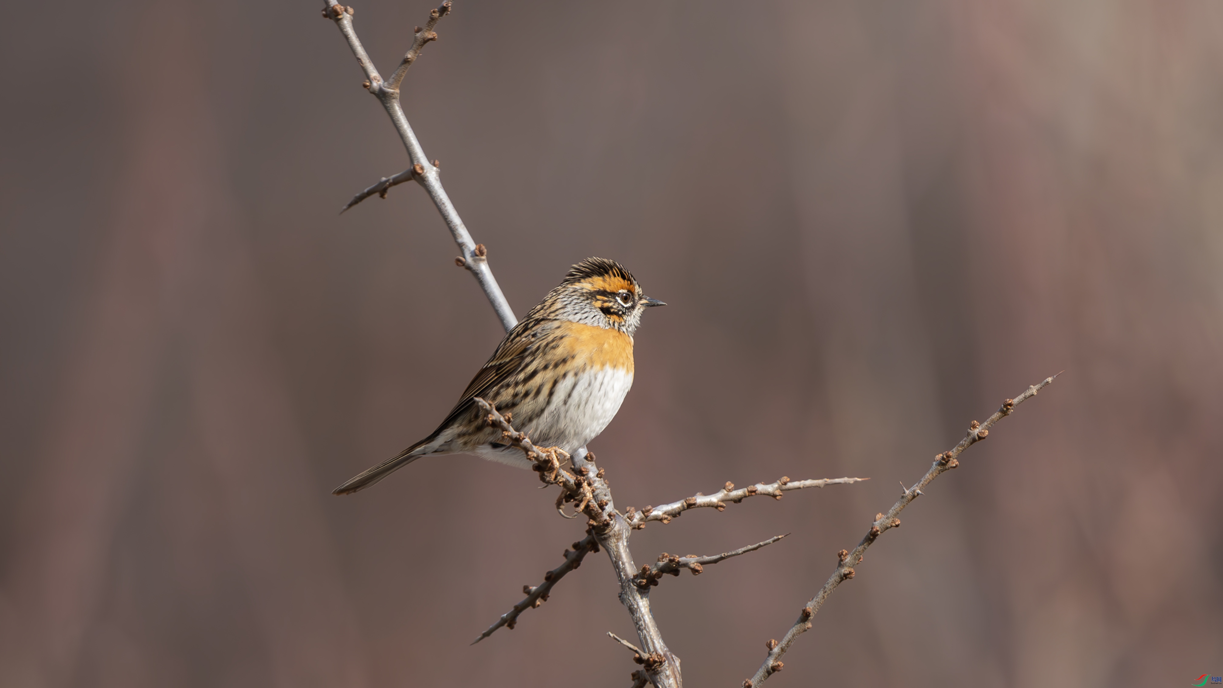 _O7A6823-����ǿ-NR ����.jpg