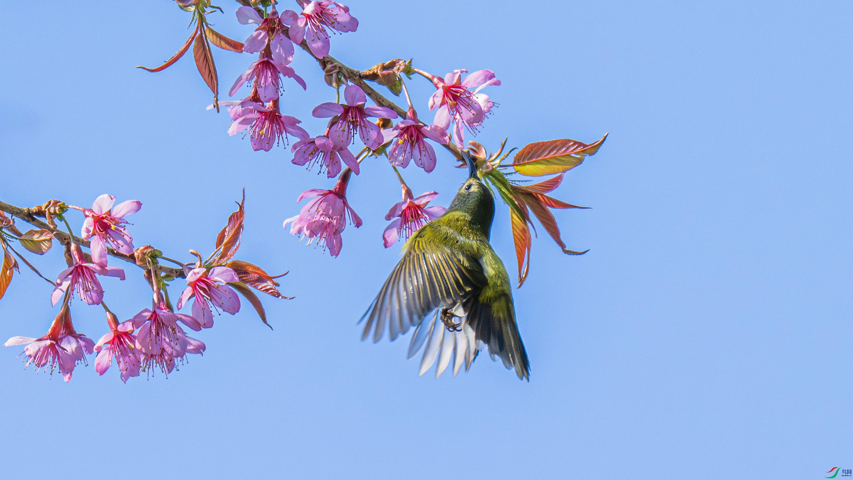 DSC_9901 ����.jpg